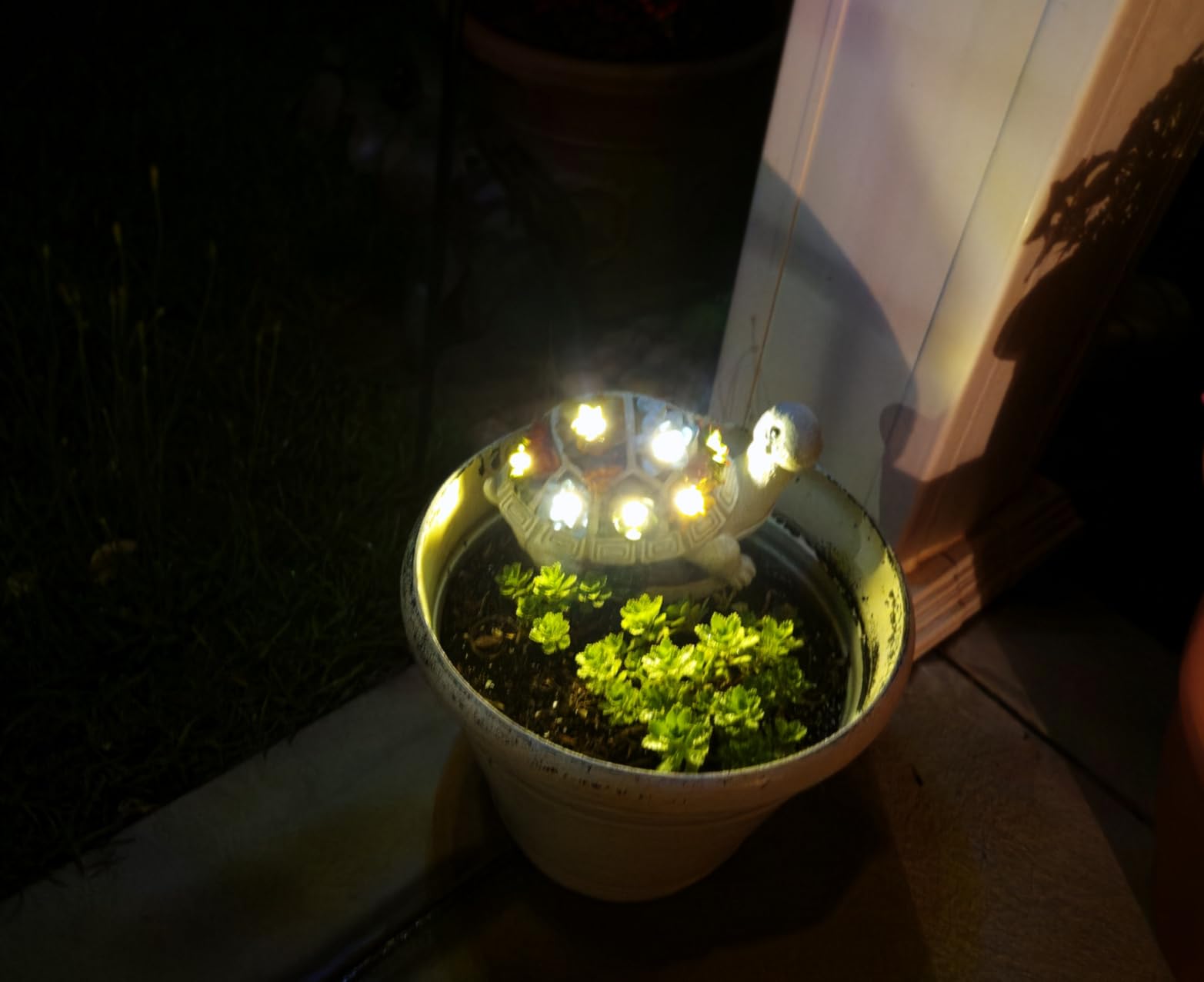 Nacome Solar Turtle Garden Statue - Succulent & 7 LED Lights, Outdoor Decor customer photo 2