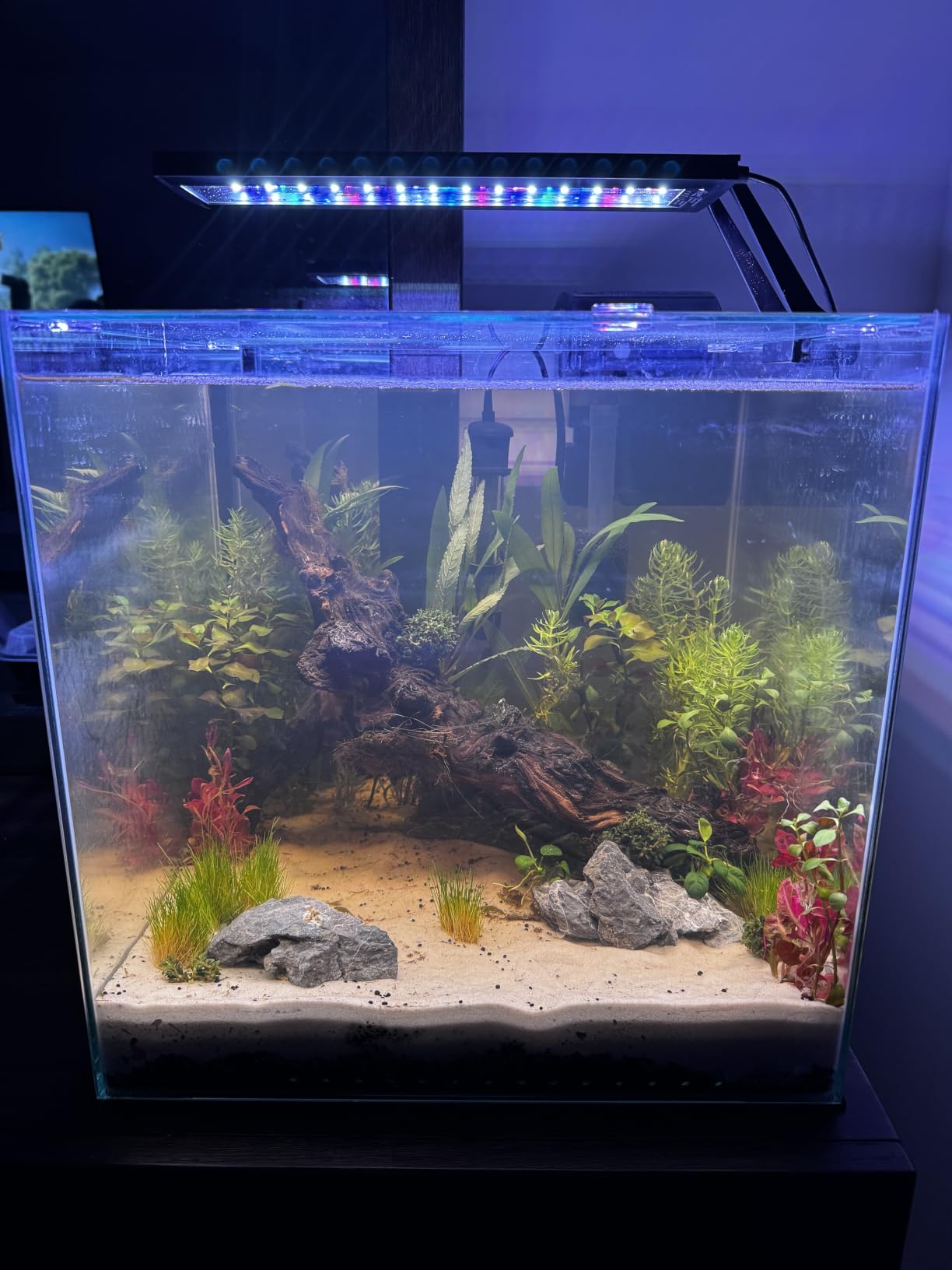hygger Clip On 24/7 Lighting Aquarium LED Light,Sunrise-Daylight-Moonlight and DIY Mode, Adjustable Timer/Brightness Fish Tank Light with 7 Colors for Planted Tank (14W for 12~20in Tank) customer photo 2