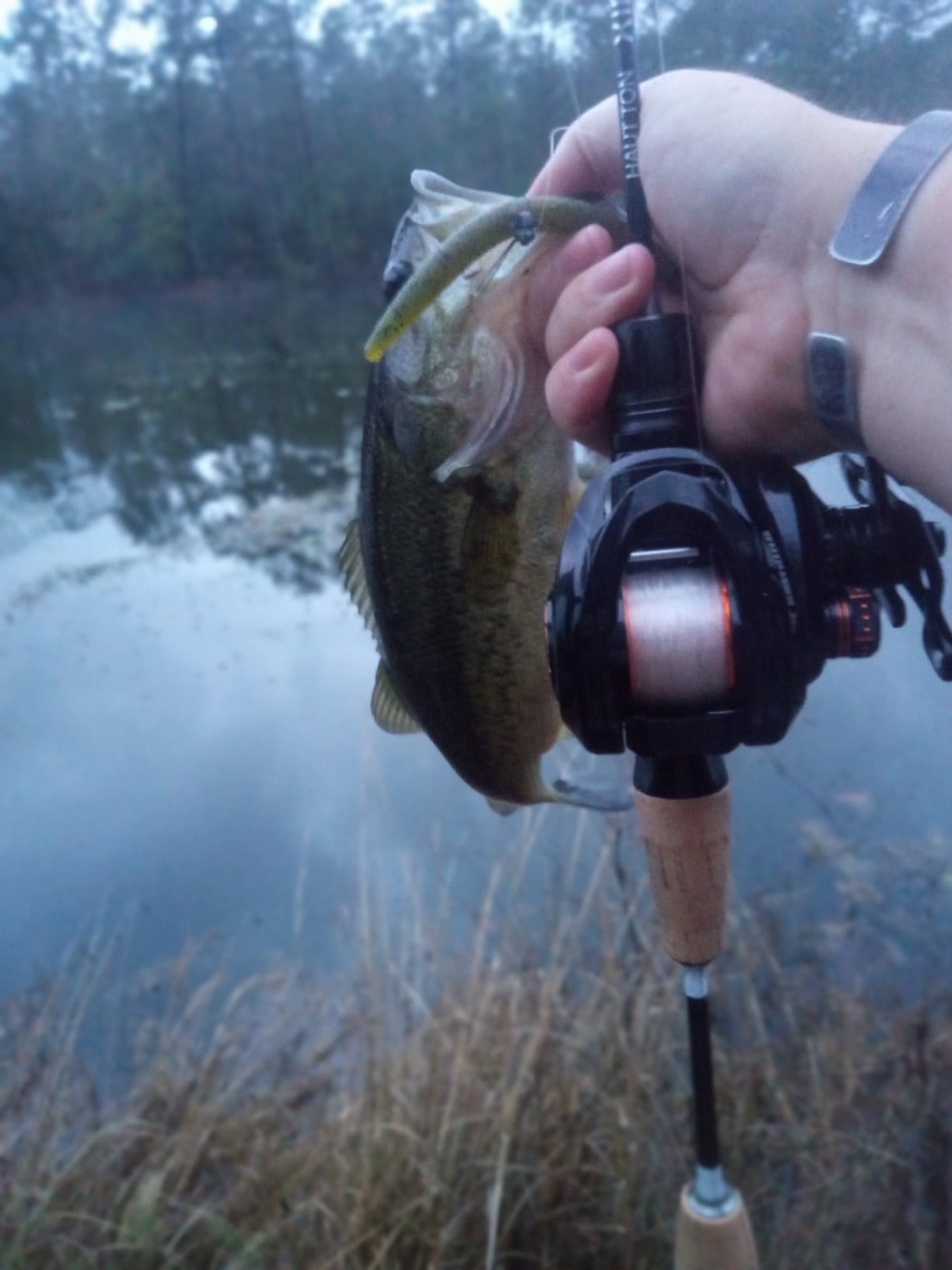 KastKing Zephyr Bait Finesse Baitcasting Fishing Reels with Drag Clicker customer photo 2