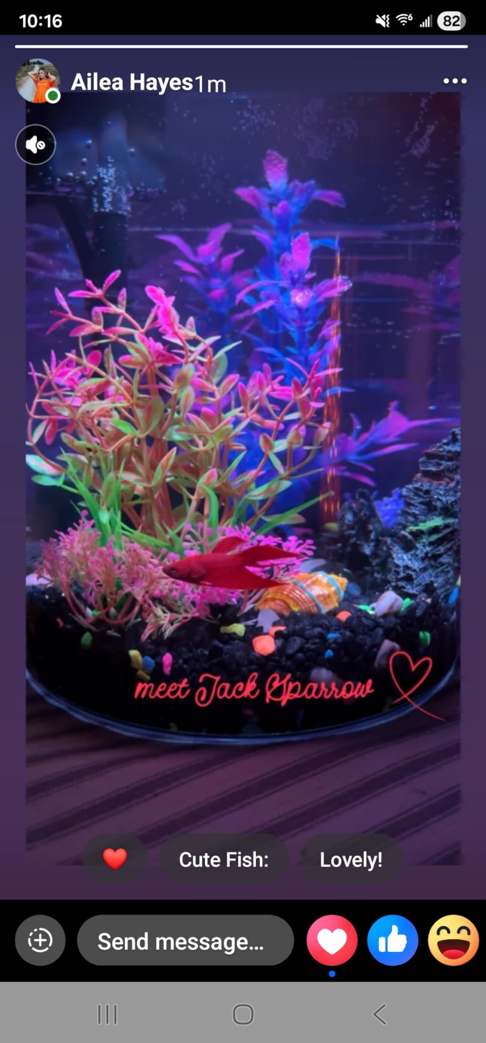 Koller Products Plastic 6-Gallon AquaView 360 Aquarium Kit for Tropical Fish, Betta Fish with LED Lighting and Power Filter Clear, 4-Piece Set customer photo 1