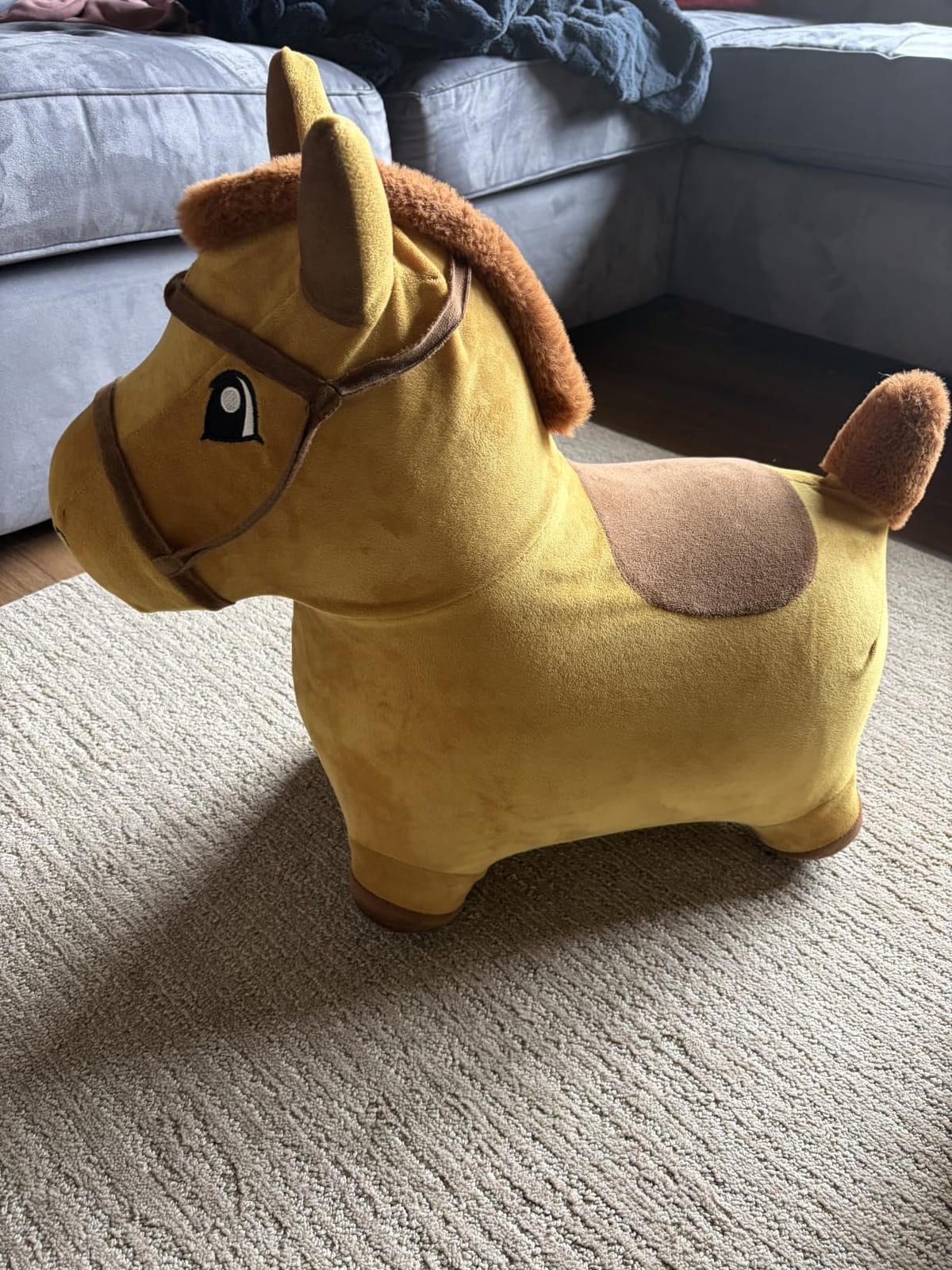 Bouncy Pals Toddler Dinosaur Hopper Toy, Kids Outdoor Ride on Bounce Animal customer photo 1