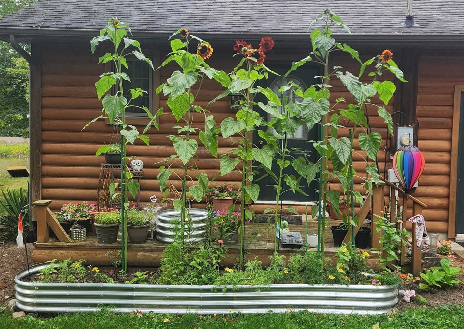 Land Guard Galvanized Raised Garden Bed Kit, Galvanized Planter Garden Boxes Outdoor, Oval Large Metal Raised Garden Beds for Vegetables………… customer photo 1