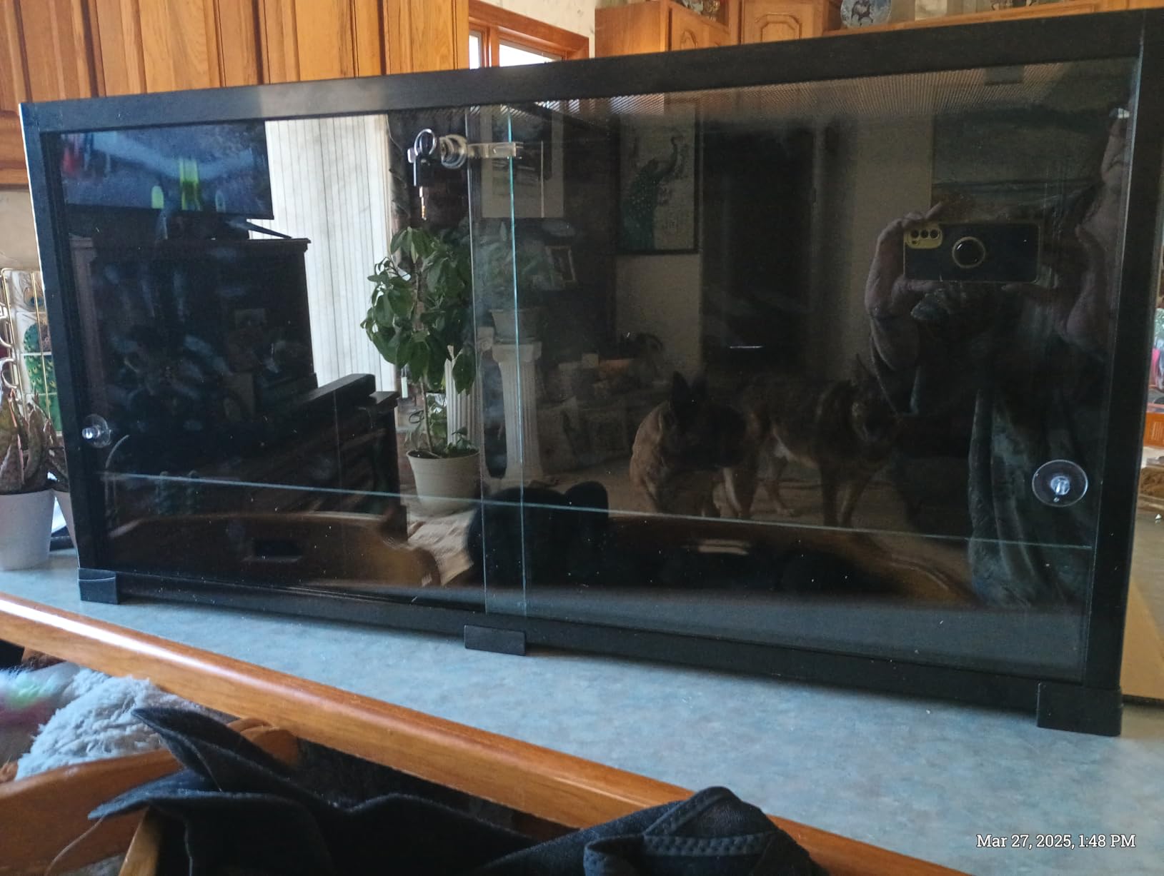 REPTI ZOO 68 Gallon Reptile Terrariums, 48