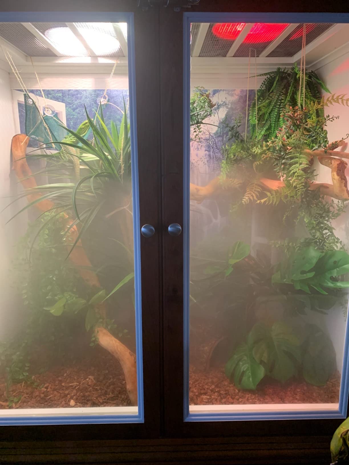 MRREPTILE Reptile Fogger Humidifiers Mister, Misting System for Reptiles, Terrarium Fogger Humidifier, 2.8L Large Capacity Reptifogger [UPGRADE] customer photo 2
