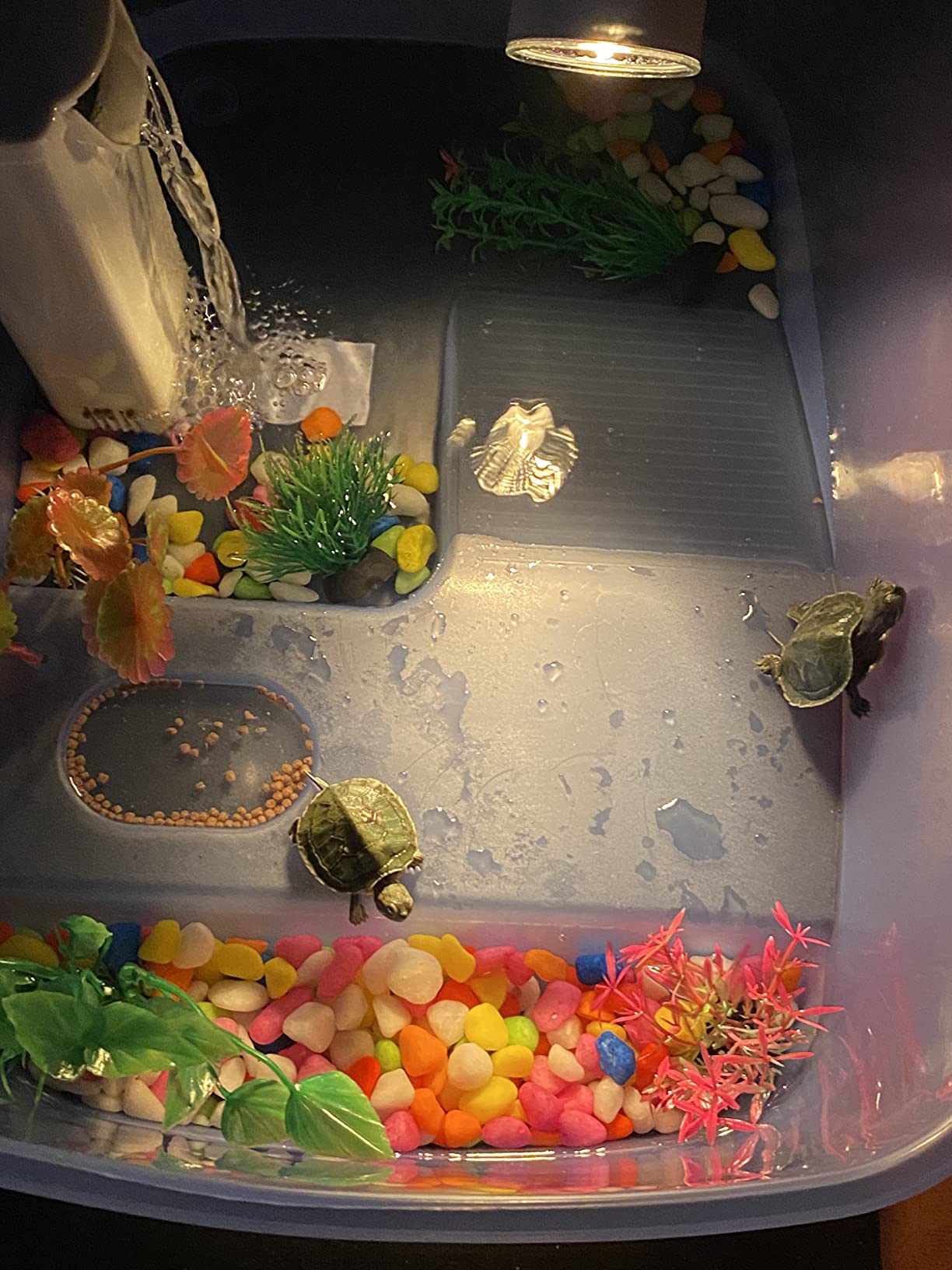 Rypet Baby Turtle Tank Starter Kit, Small Turtle Tank with Filter & Light customer photo 1