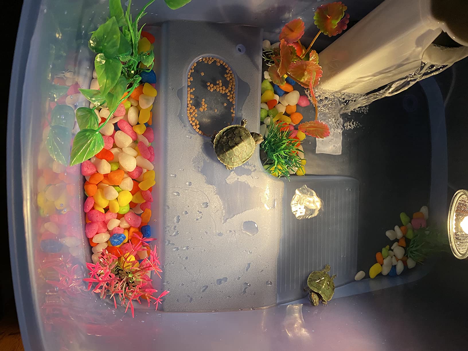 Rypet Baby Turtle Tank Starter Kit, Small Turtle Tank with Filter & Light customer photo 2