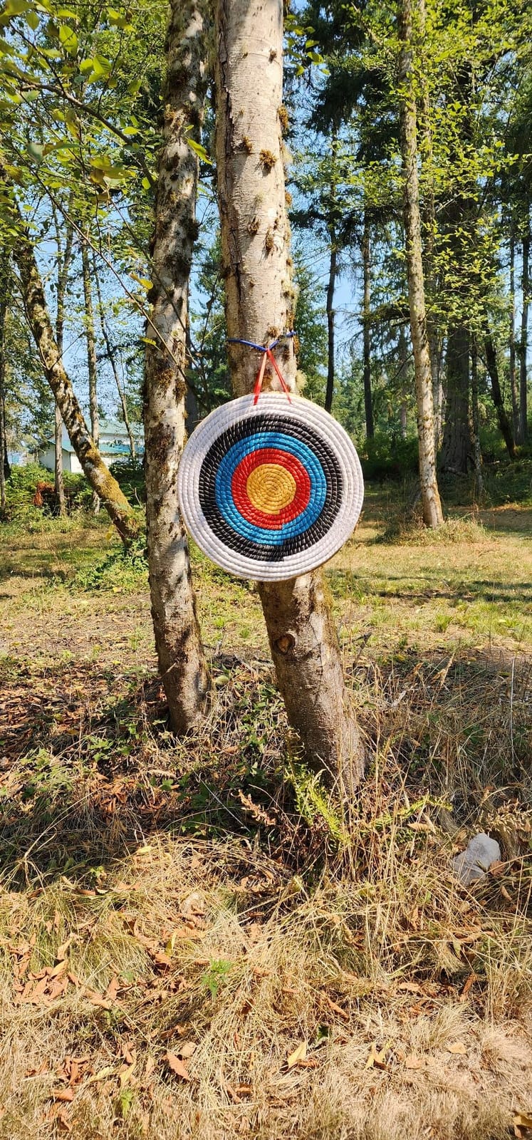 Archery Target - Backyard Straw Archery Target for Recurve Compound or Longbow - 20 Inch Traditional Bow Arrow Target for Kids Youth Adult Archery Hunting Practice customer photo 2