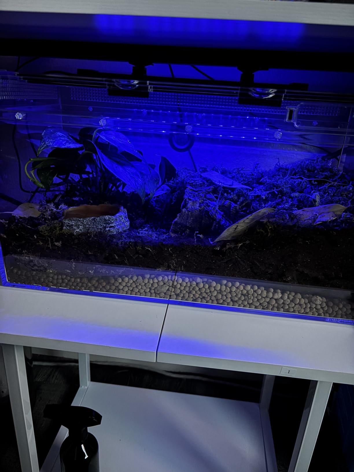 Reptile Growth Reptile Terrarium,10 Gallon Reptile Tank 20