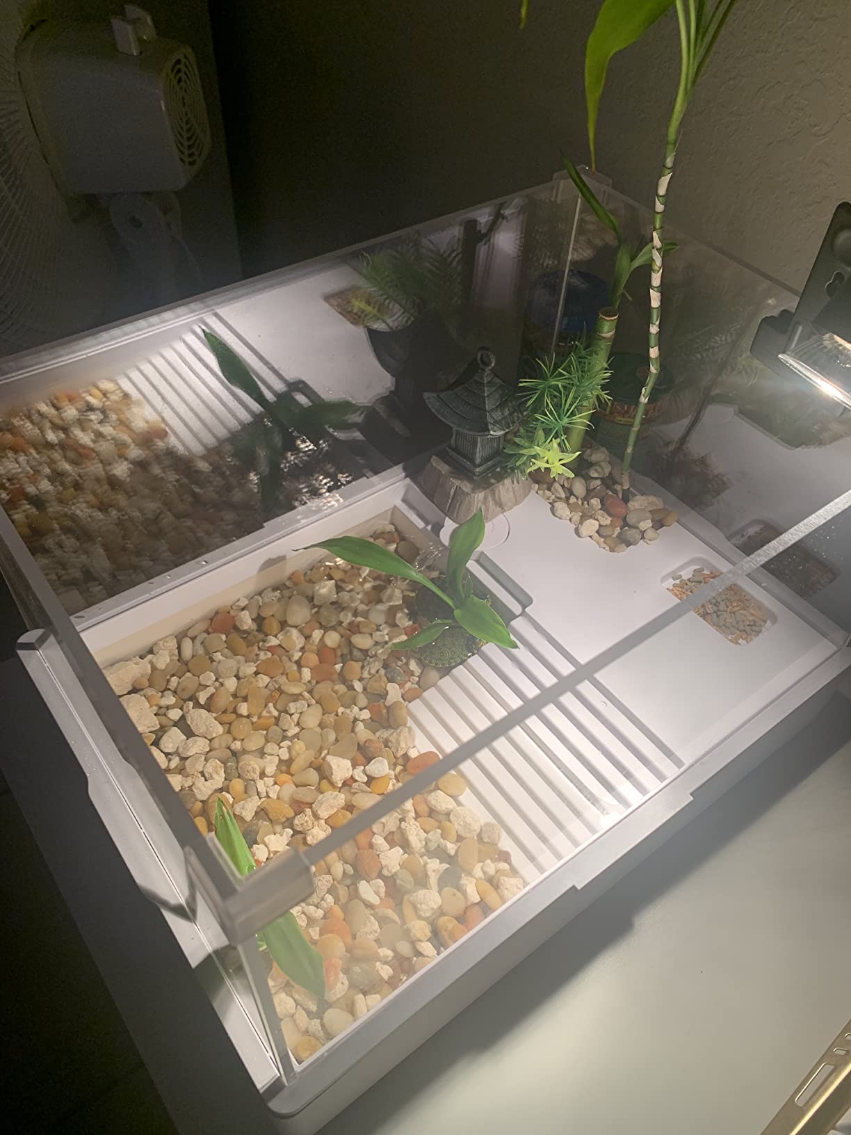 Medium Turtle Tank with Water Pump customer photo 1