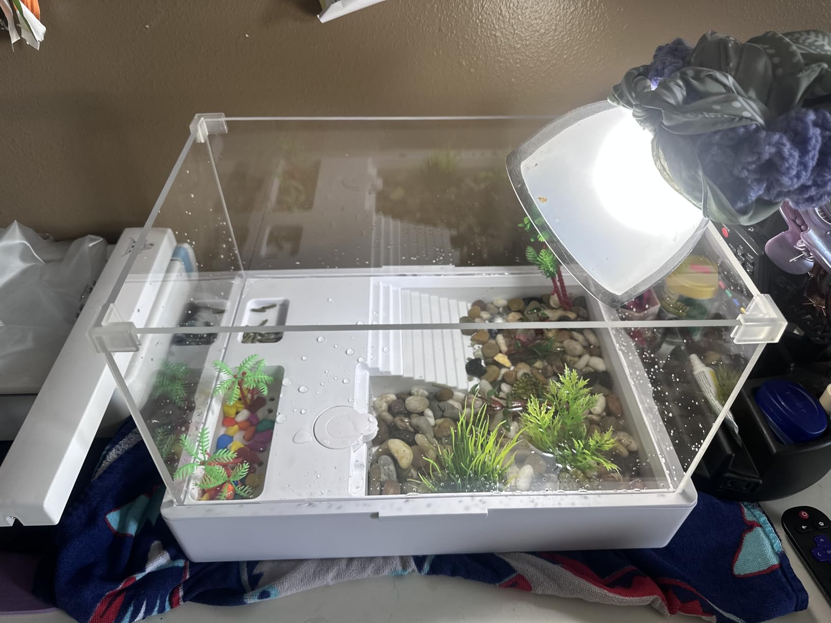 Medium Turtle Tank with Water Pump customer photo 2