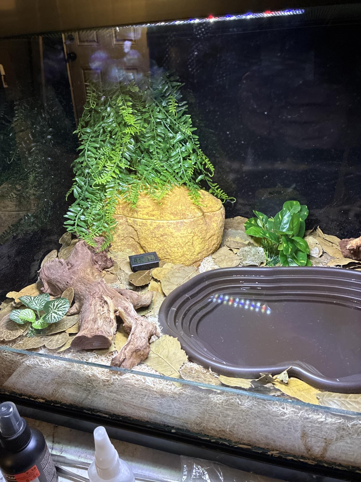 REPTI ZOO 50 Gallon Reptile Tank, 36