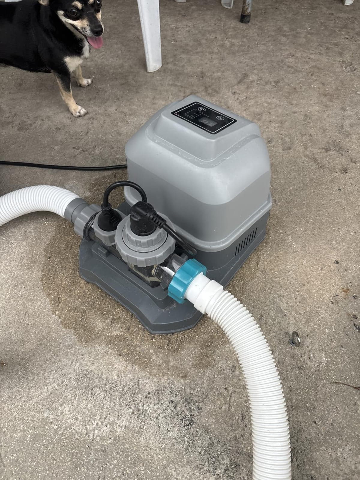 Bestway Flowclear Hydrogenic 6 G/H Digital Self Cleaning Saltwater customer photo 2