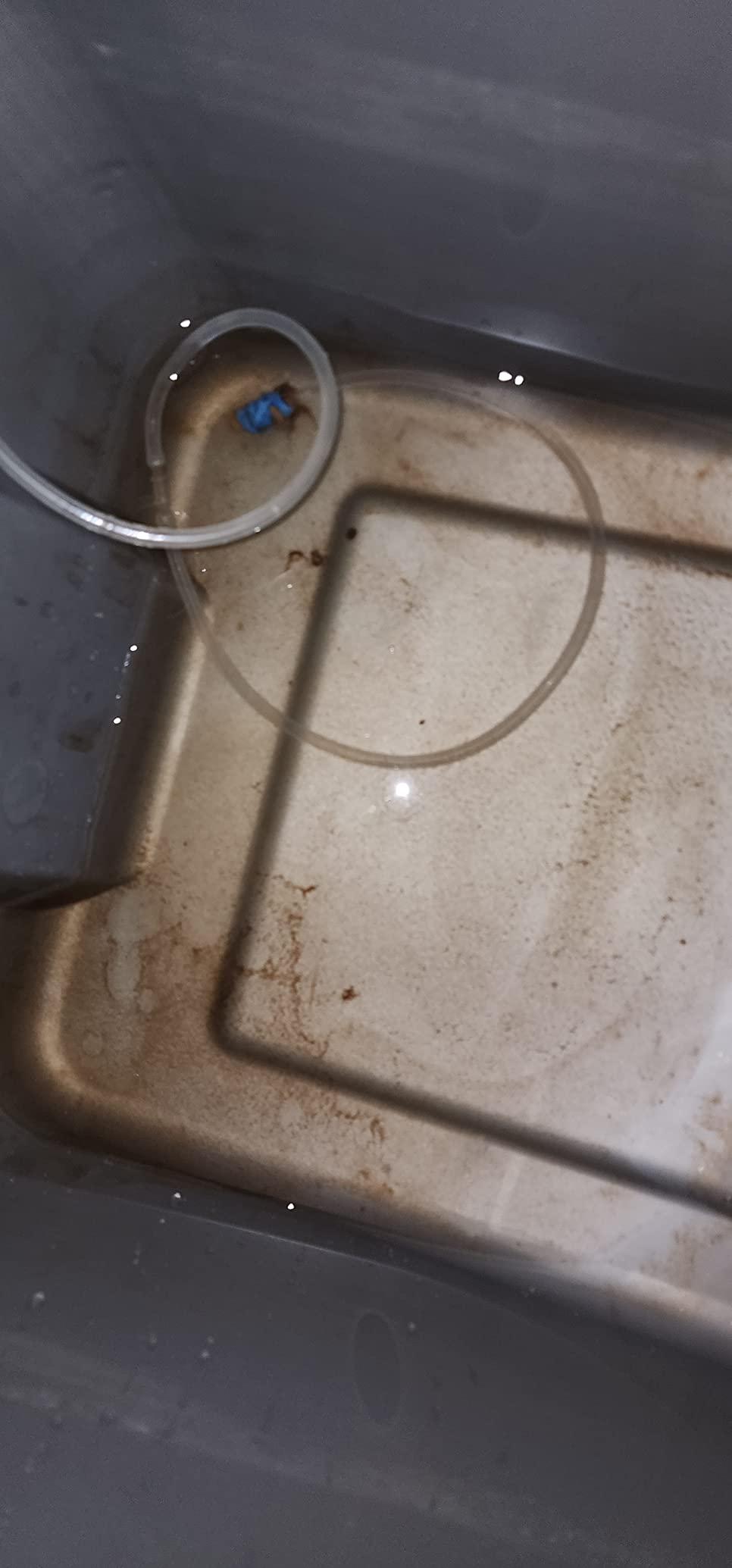 FREESEA 800GPH Small Pond Pump: Circulate 500-1200 Gallon Pond in 1-2 Hours | 24/7 Reliable Operation for Crystal Clear Water & Healthy Koi - 45W Quiet Motor with Adjustable Flow customer photo 1