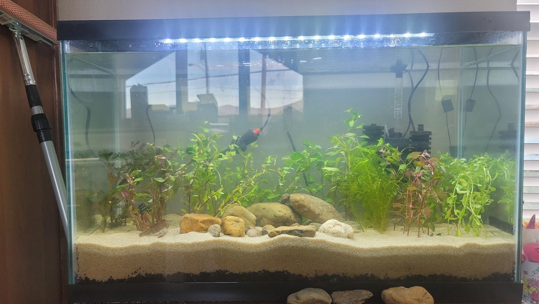 Tetra Complete 55 Gallon Fish Tank Kit for Freshwater & Saltwater Fish customer photo 1