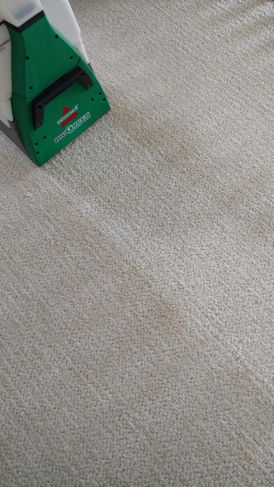 BISSELL Big Green PET PRO Carpet Cleaner, XL DirtLifter PowerBrush customer photo 1