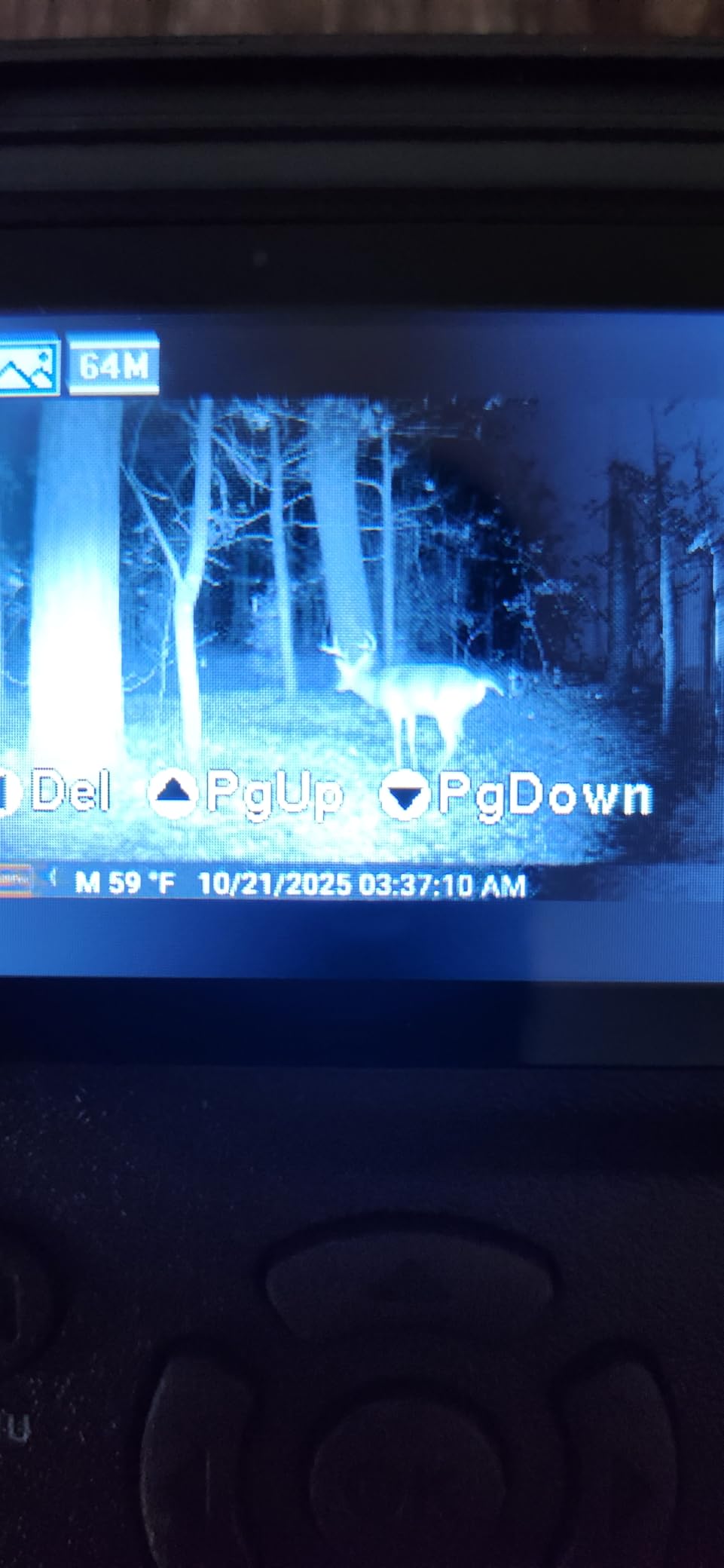 GardePro E5S Trail Camera, 64MP Photo & 1296P HD Video customer photo 1