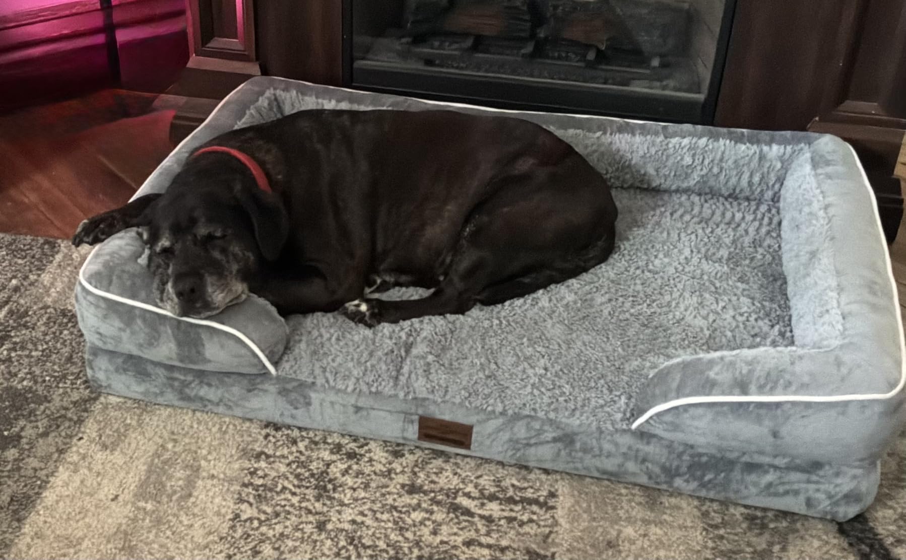 Comfort Expression Waterproof Orthopedic Dog Bed for Extra Large Dogs | Supportive Egg Crate Foam XL Pet Bed with Removable Bolster, Dog Couch with Washable Cover & Non-Slip Bottom, 42x30 Inch customer photo 2