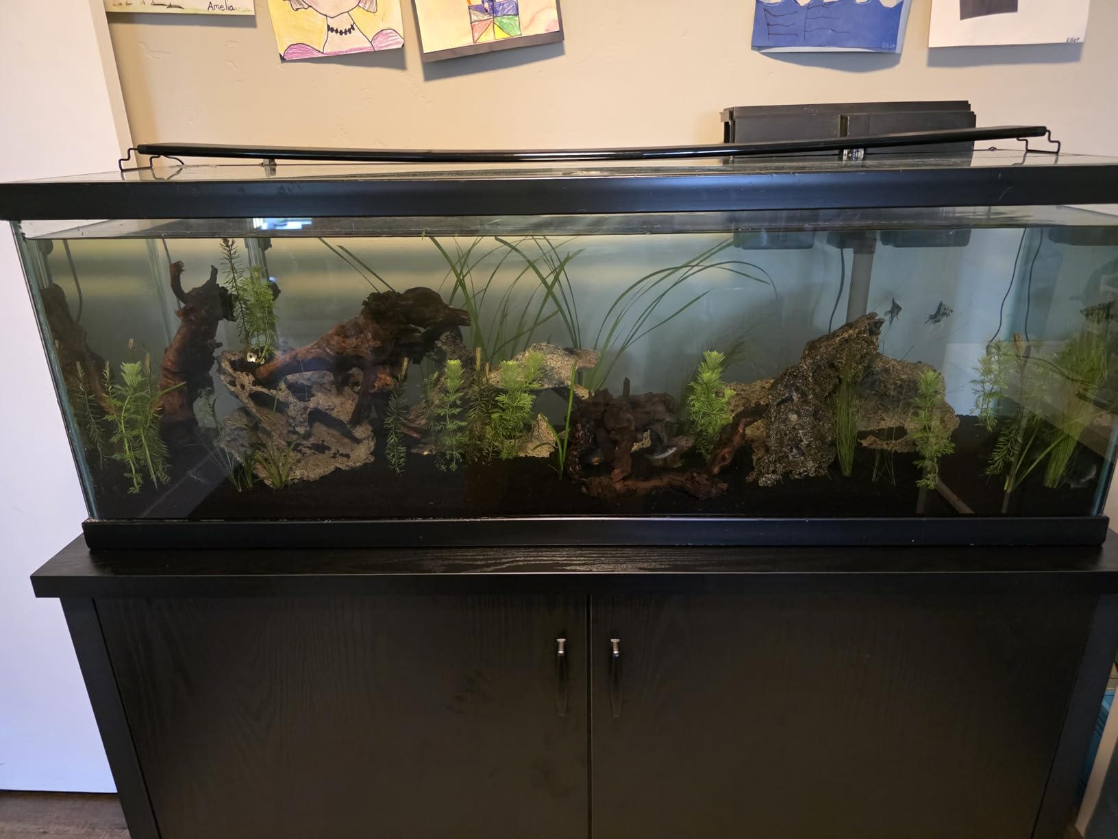 SEAOURA Led Aquarium Light for Plants-Full Spectrum Fish Tank Light 18-24'' customer photo 2