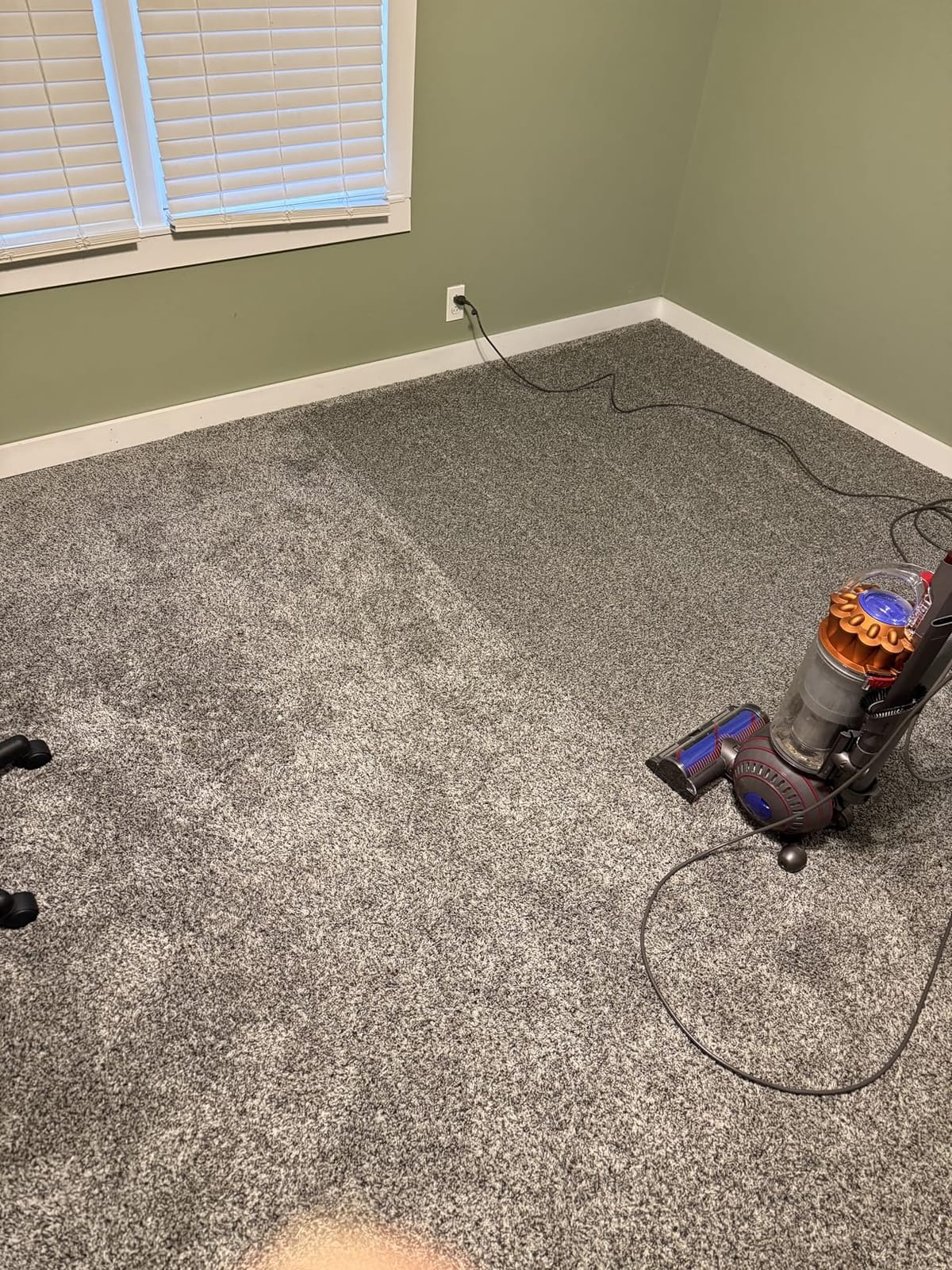 Dyson Ball Animal 3 Extra Upright Vacuum customer photo 1