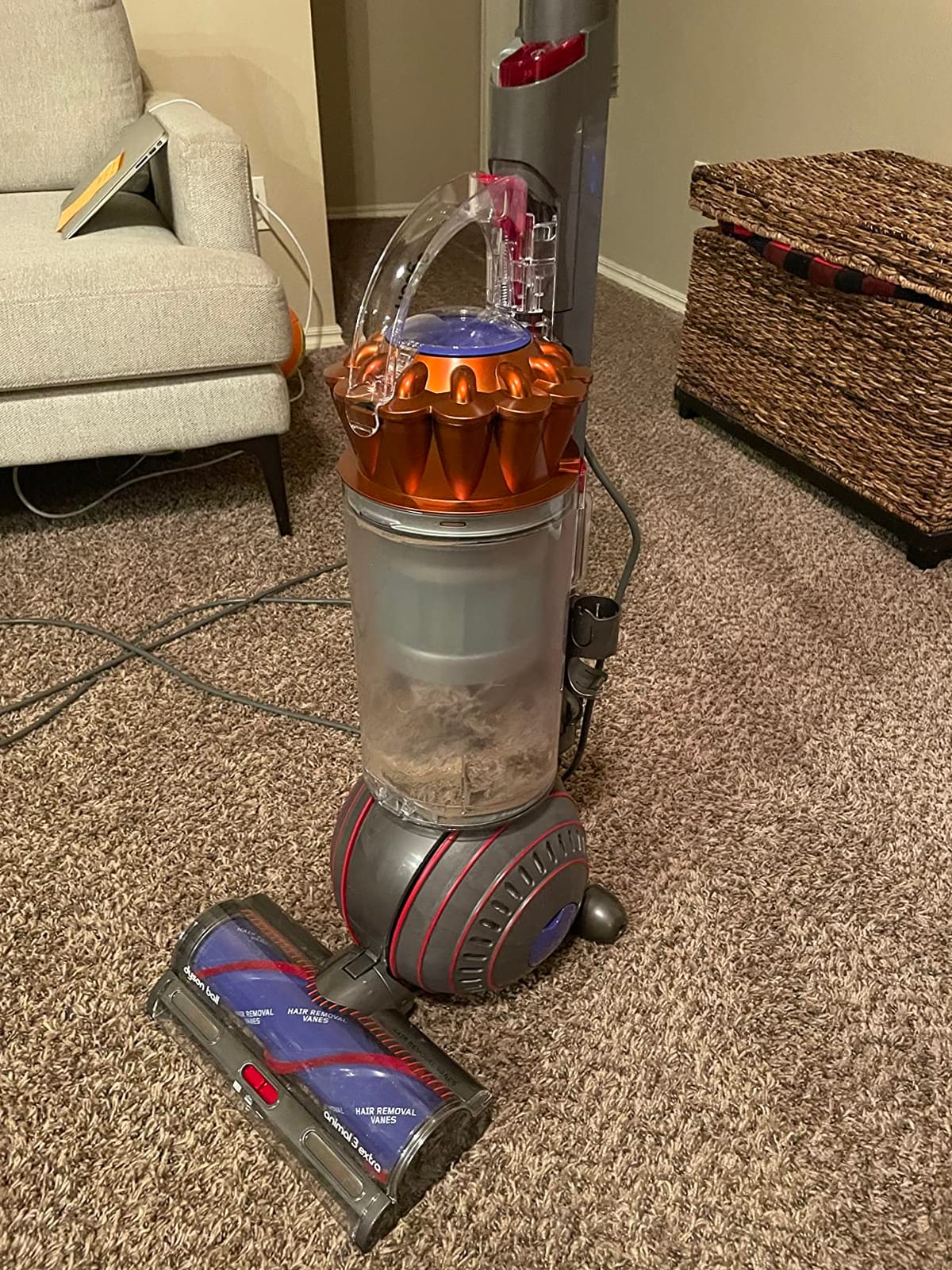 Dyson Ball Animal 3 Extra Upright Vacuum customer photo 2