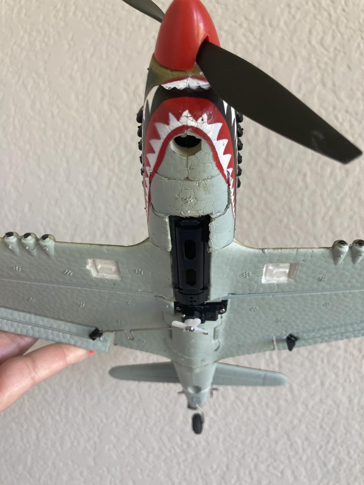 LEAMBE RC Plane 4 Channel Remote Control Airplane - Ready to Fly P-40 Warhawk RC Airplane for Beginners Adult with Xpilot Stabilization System & One Key Aerobatic customer photo 1