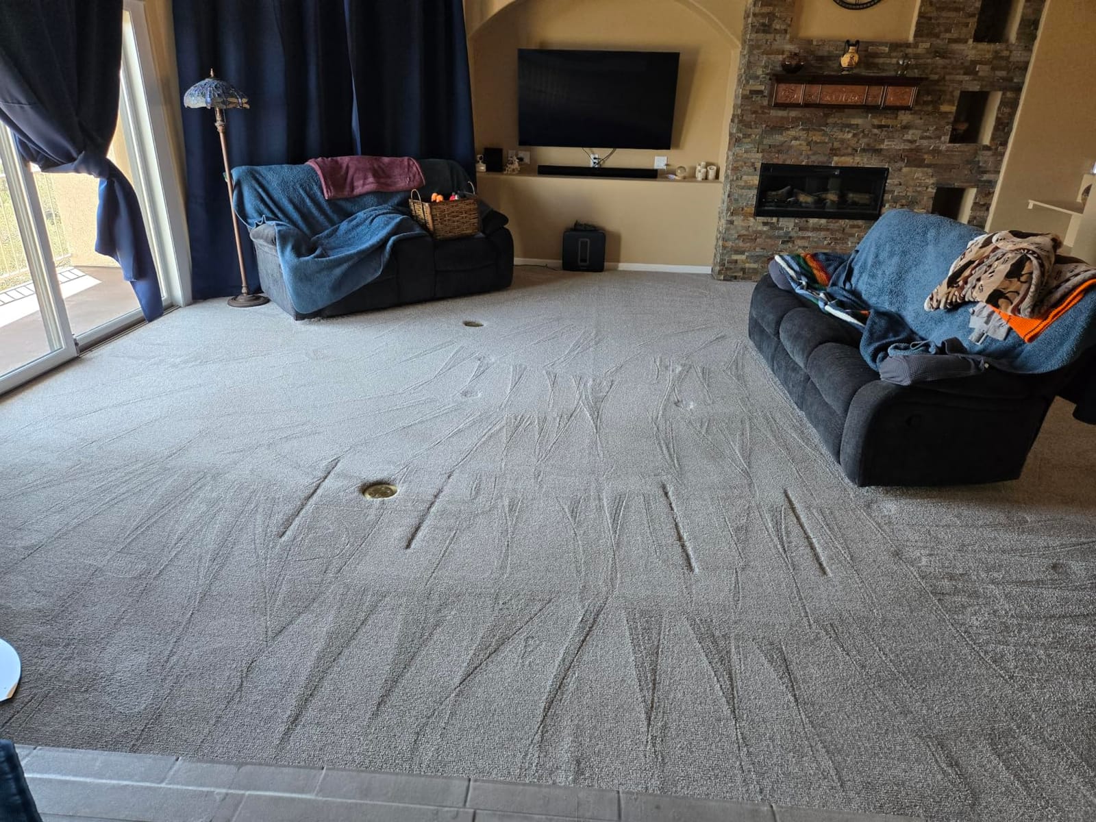 BISSELL ProHeat 2X Revolution Pet Pro Plus Carpet Cleaner, 3588F customer photo 2