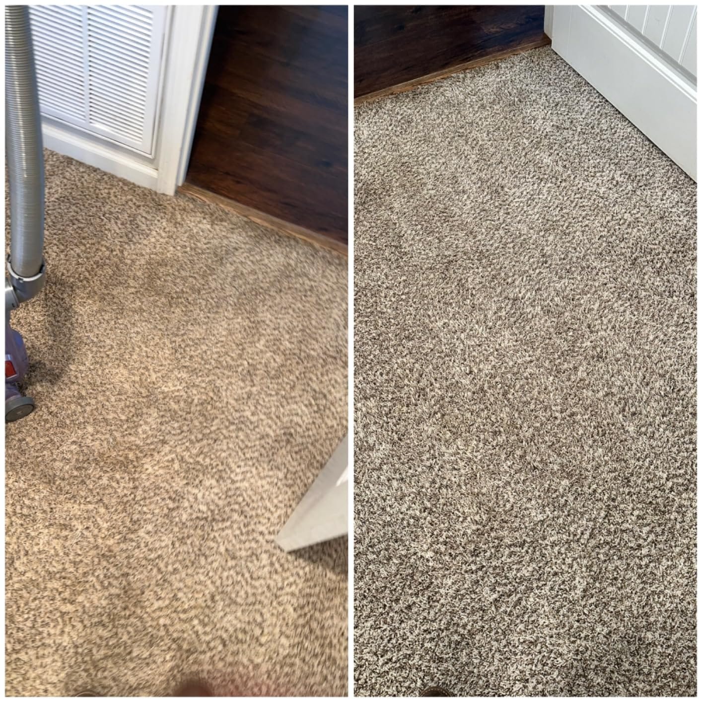 Rug Doctor Pet TruDeep Carpet Cleaner with Pet Upholstery Tool customer photo 2