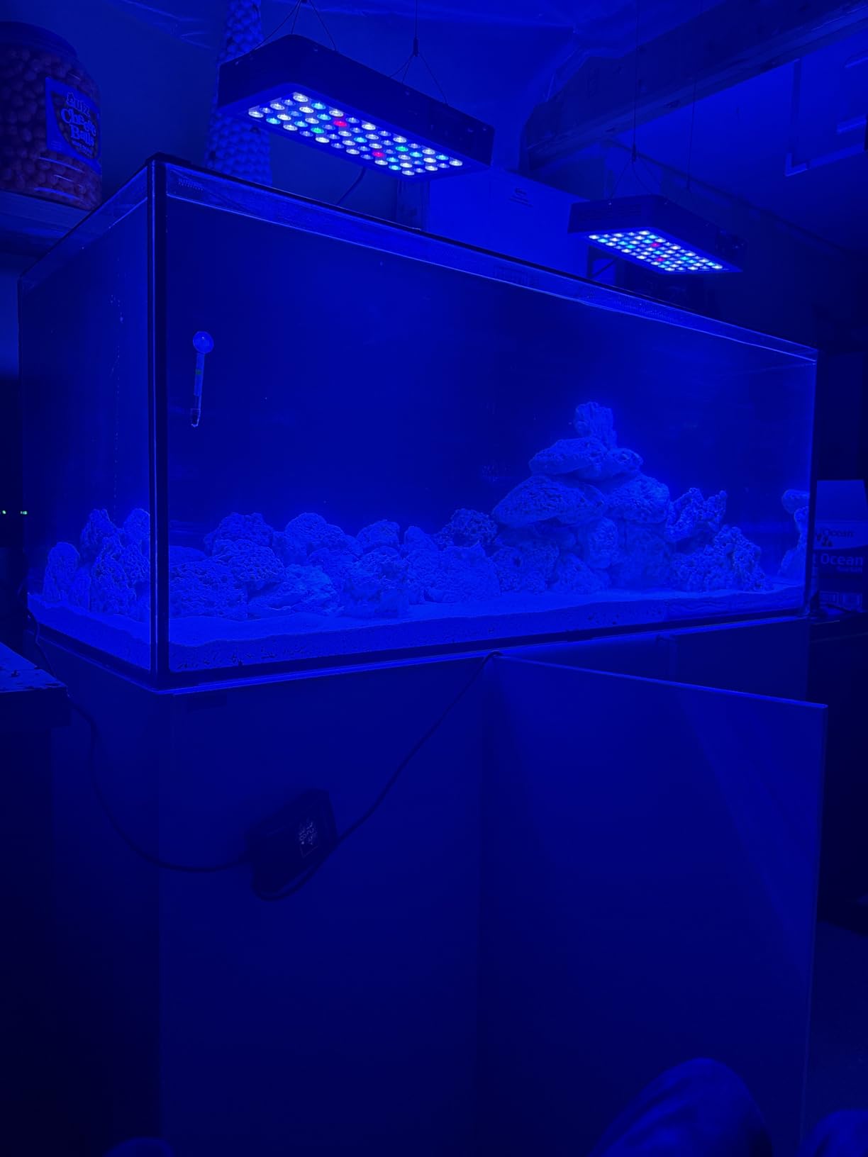 hygger Aquarium Heater 300W/500W/800W/1000W, Submersible Fish Tank Heater customer photo 2