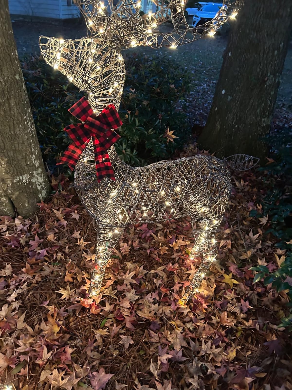 Best Choice Products 3-Piece Large Lighted Christmas Deer Family Set 5Ft Outdoor Yard Decoration with 360 LED Lights, Stakes, Zip Ties - Rattan customer photo 2
