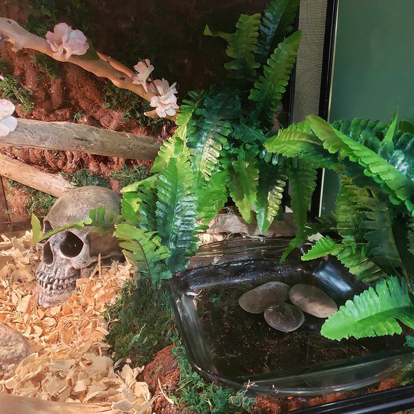 Zilla QuickBuild Reptile 65 Gallon Glass Terrarium, 48
