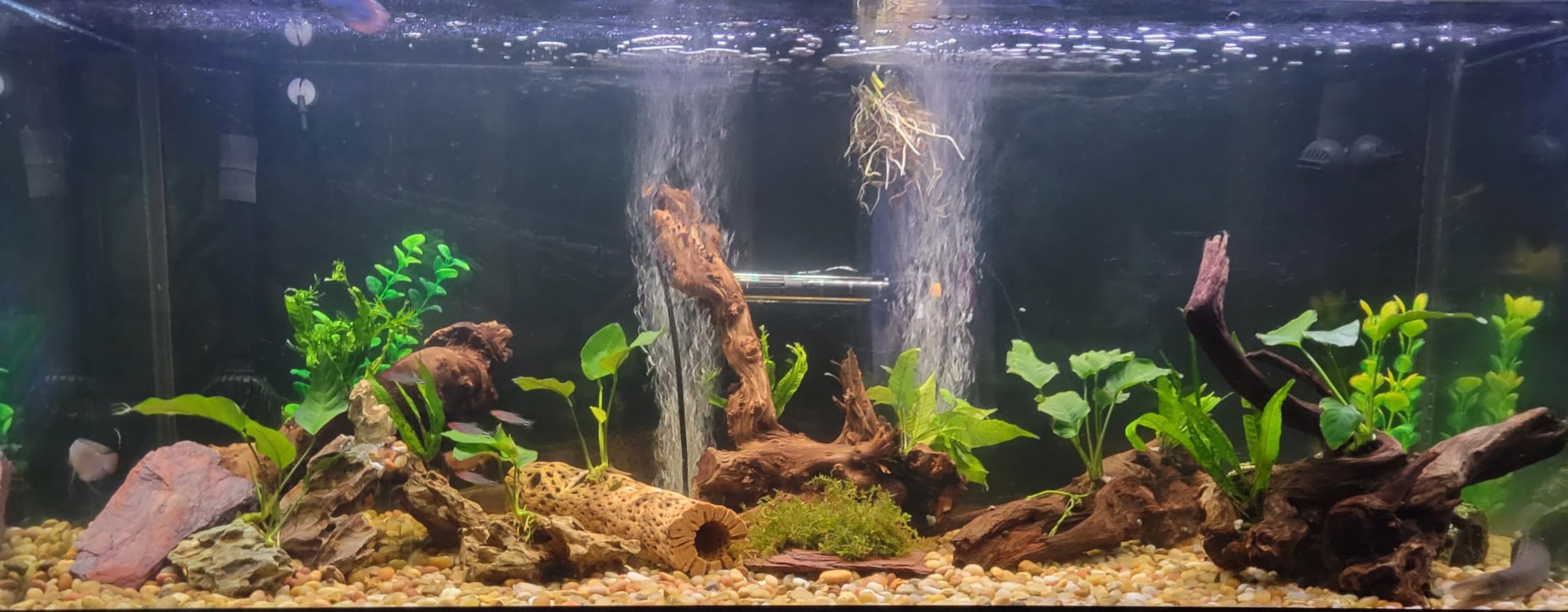 Fluval FX2 High Performance Canister Aquarium Filter customer photo 2