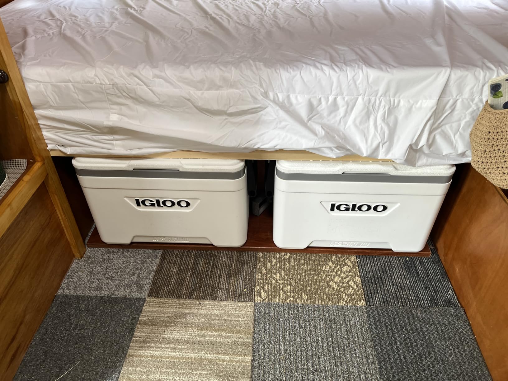 Igloo Marine Cooler | Insulated Hard Shell Ice Chest |Great for Fishing, Camping, Boating, & More customer photo 2