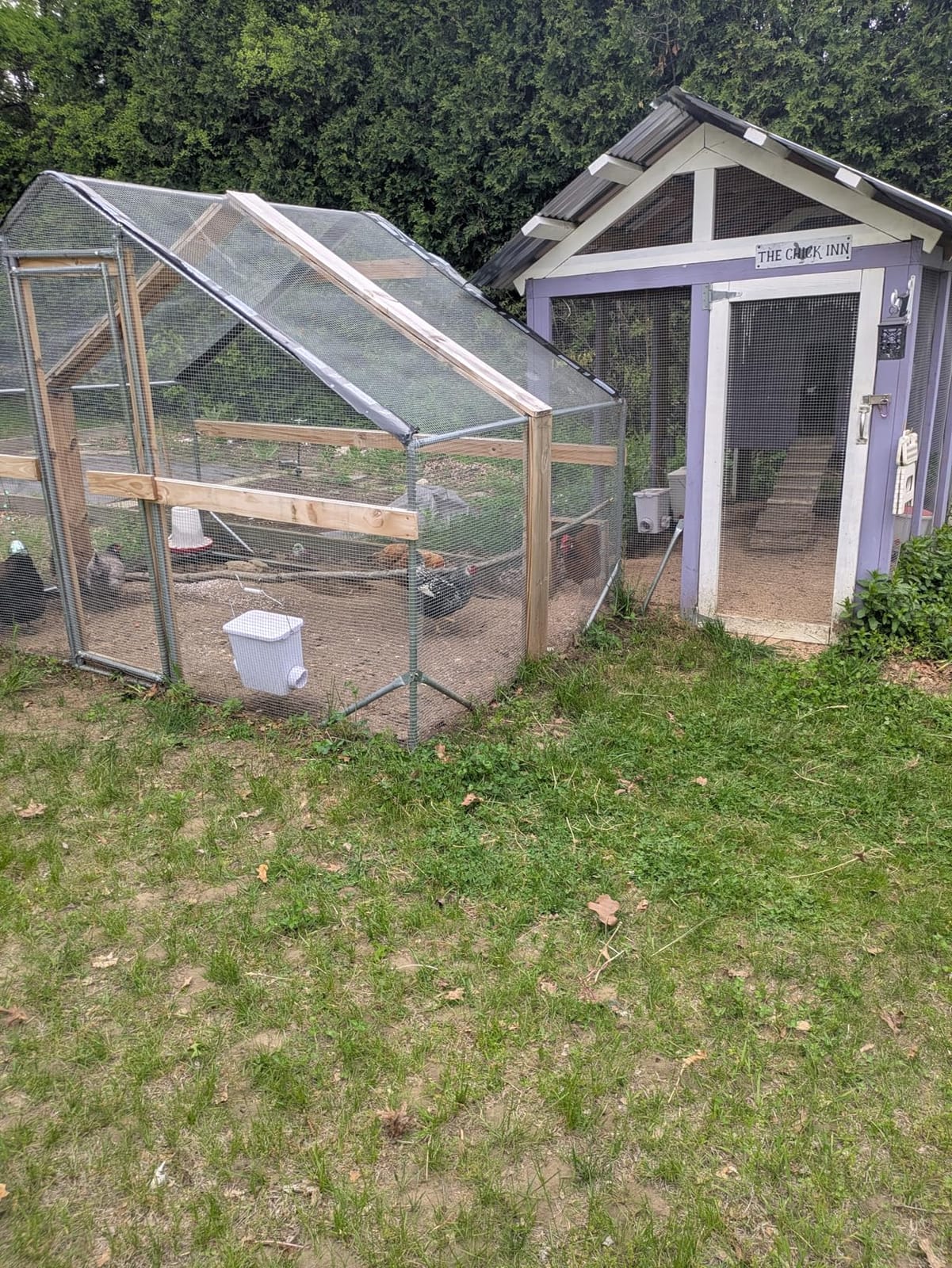 CHIKENCOOP 9.8 x 6.5 x 6.5 ft Metal Chicken Coop, Chicken Run with Cover customer photo 1