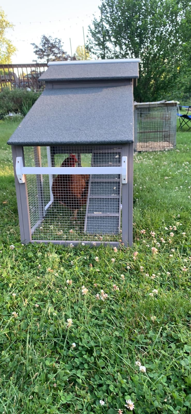 Ketive Large Wooden Chicken Coop with Run and Wheels, Grey customer photo 2