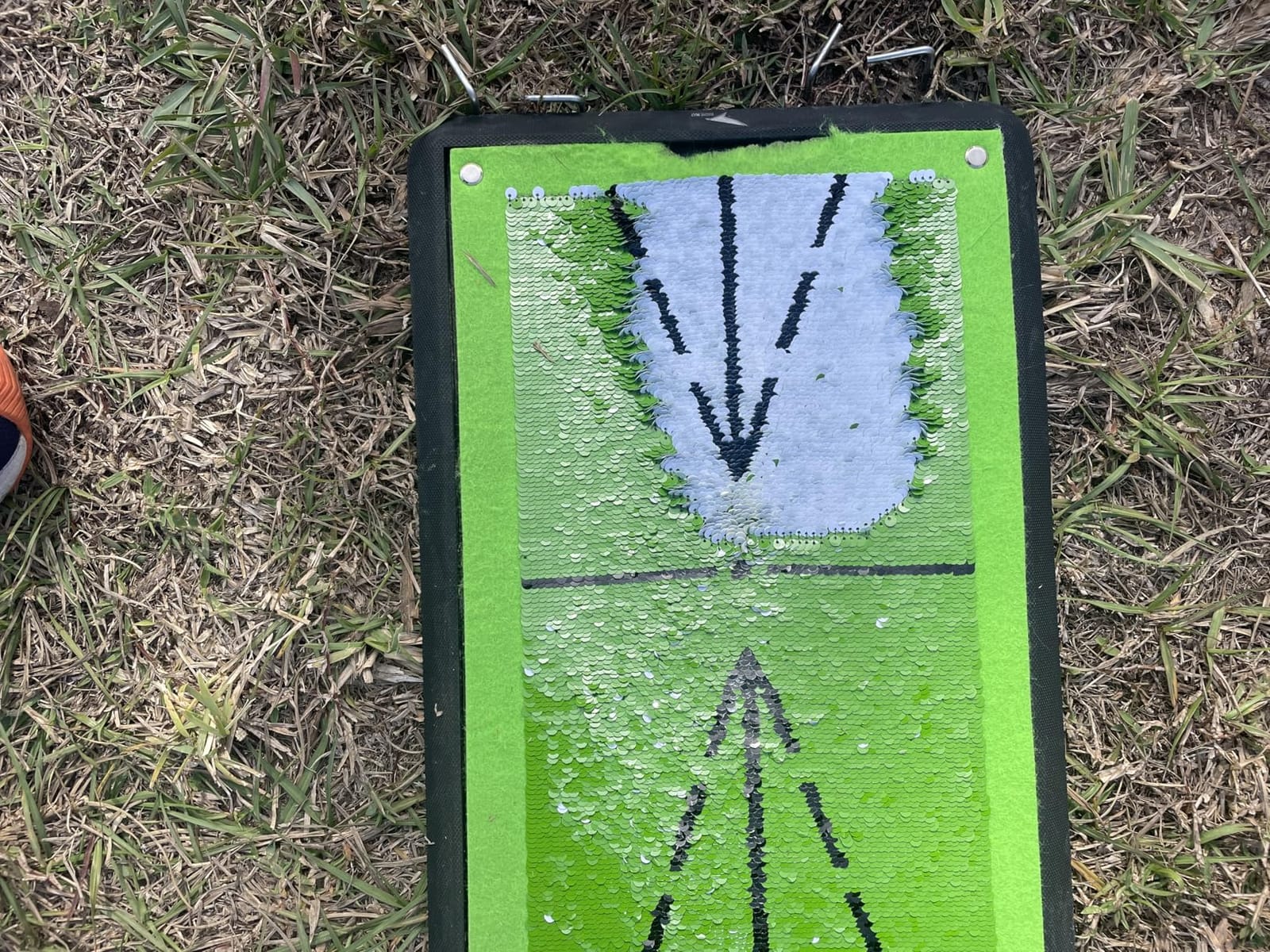 Birdie Golf Swing Training Mat - Sequin Tech, Analyzes Swing Path, Portable customer photo 2