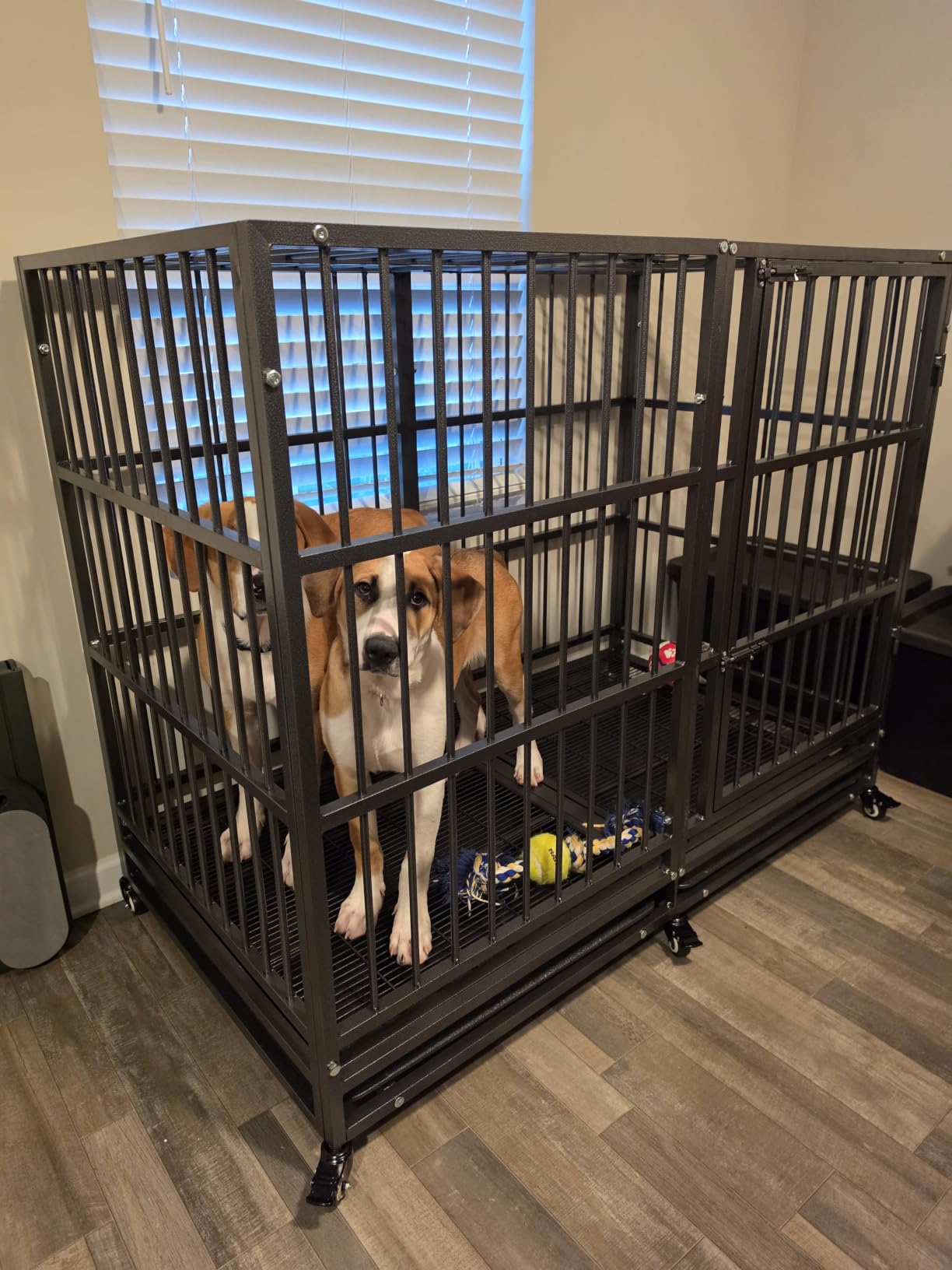 BOLDBONE 48 inch Heavy Duty Indestructible and Escape-Proof Dog Crate Cage Kennel for Large Dogs, High Anxiety Dog Crate with Removable Wire Trays and Wheels, Extra Large XL XXL, Black customer photo 1