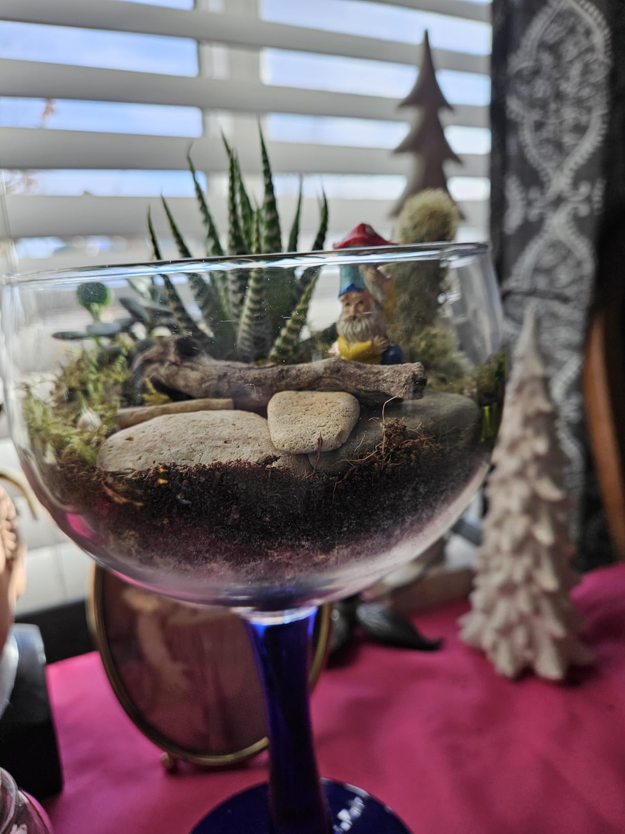 Terrarium Kit, Succulents & Indoor Plants Set DIY customer photo 1