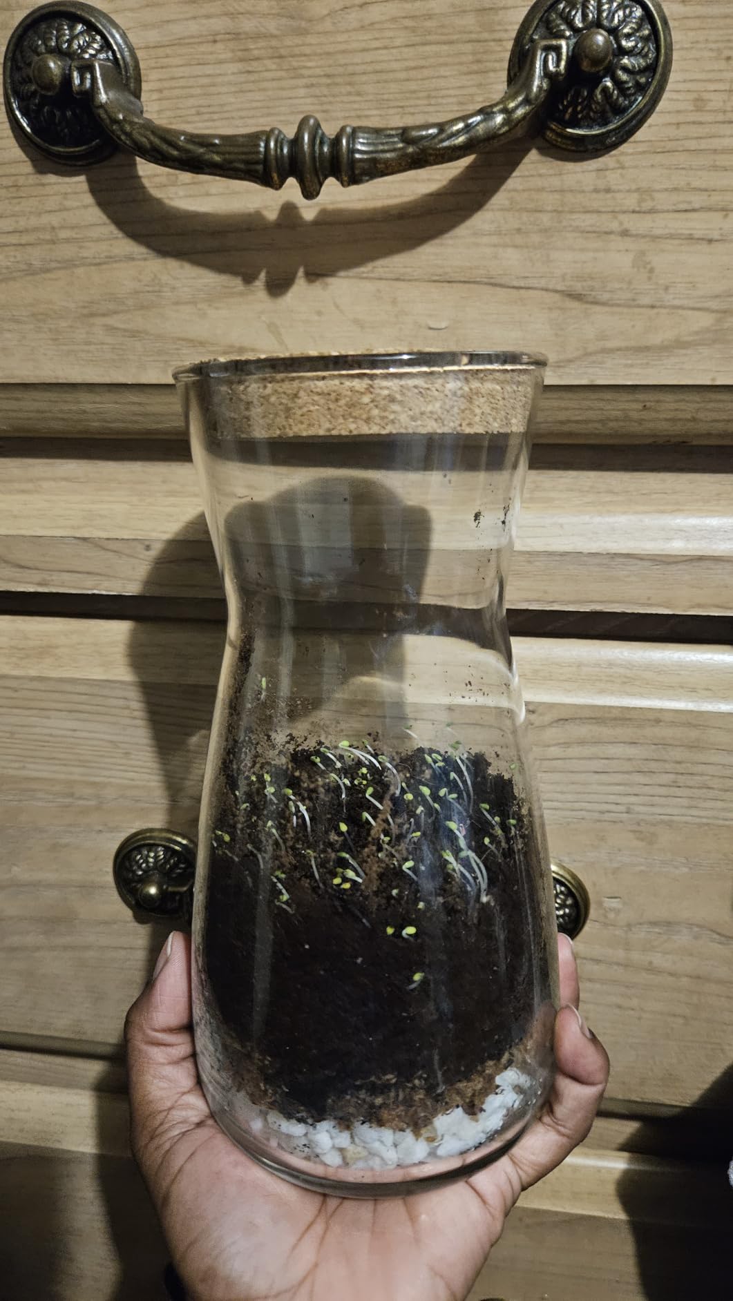 Terrarium Kit for Plants DIY customer photo 2