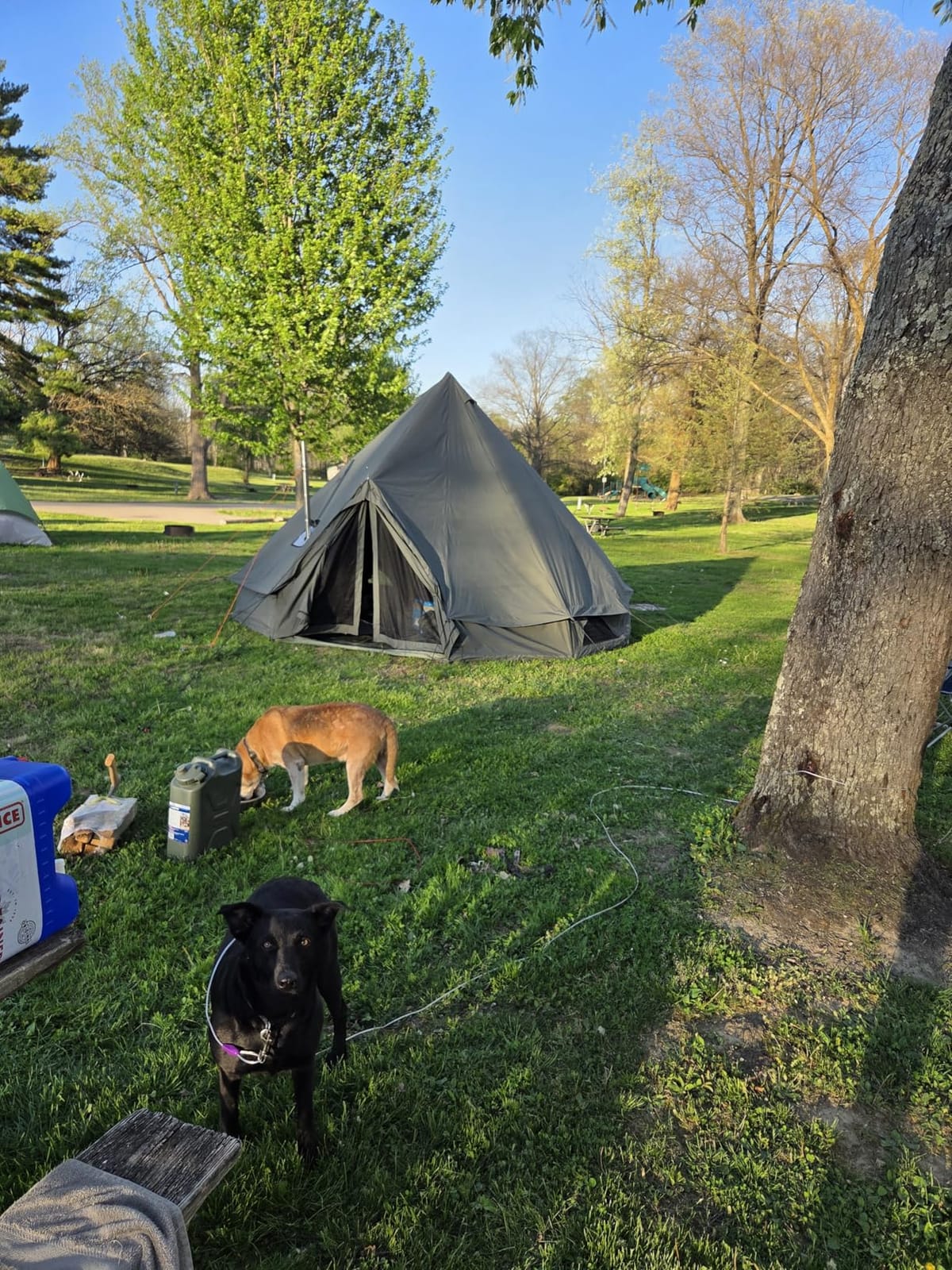 10/13/16/20ft Canvas Bell Tent with Stove Jack & Removable Floor customer photo 2