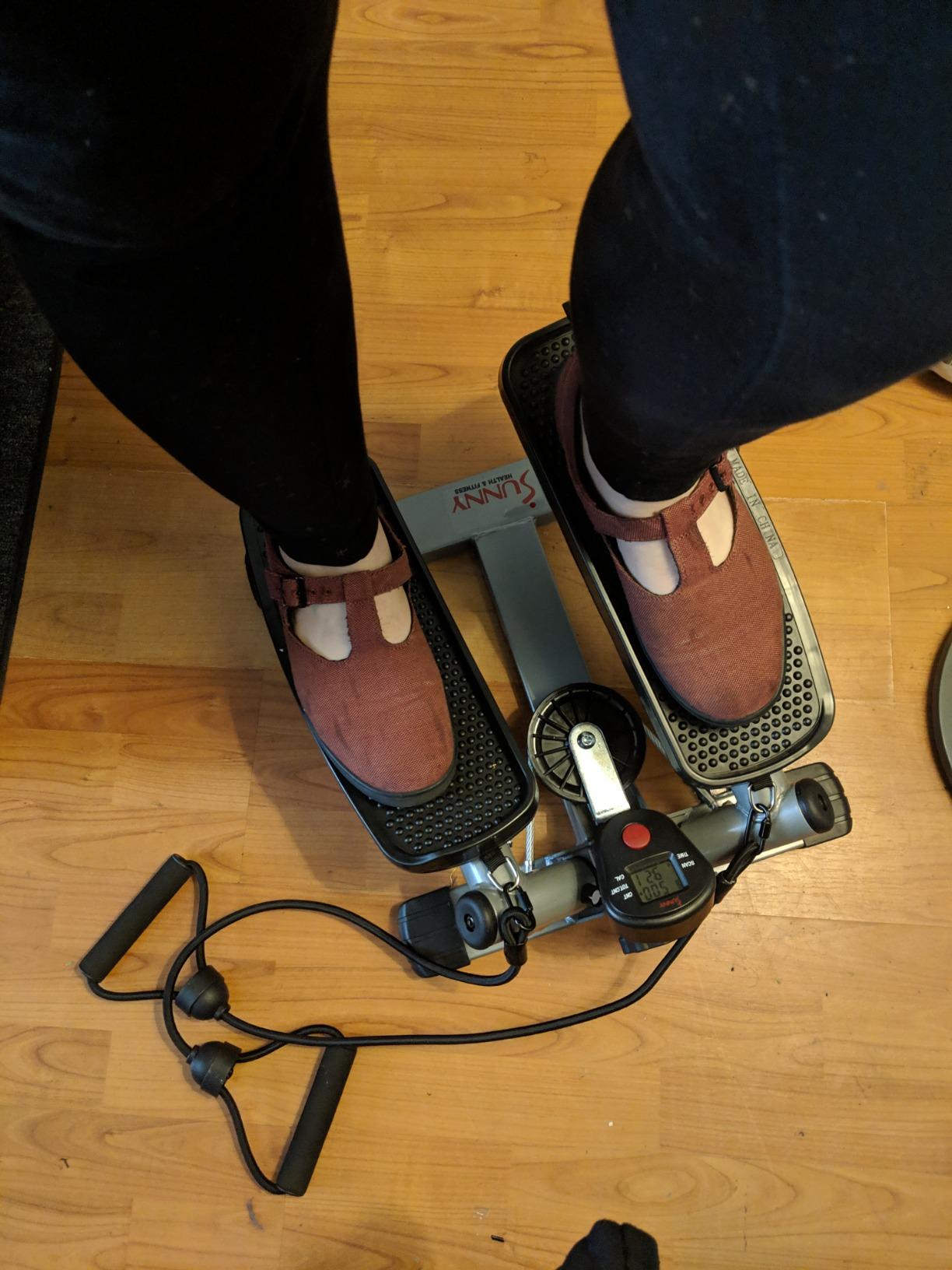Sunny Health & Fitness Smart Power Stepper with Resistance Bands for Cardio customer photo 1