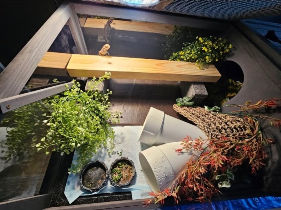 GEGURI Tortoise Habitat Indoor & Outdoor, Wooden Tortoise House with Detachable Legs, Reptile Cage for Small Animals customer photo 2