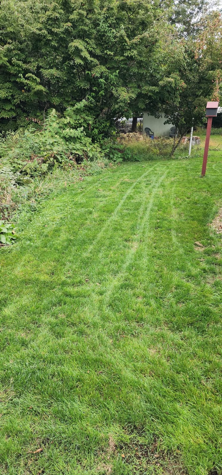 Greenworks 60V 21in Push Lawn Mower, 5.0 Ah Battery and Charger customer photo 2