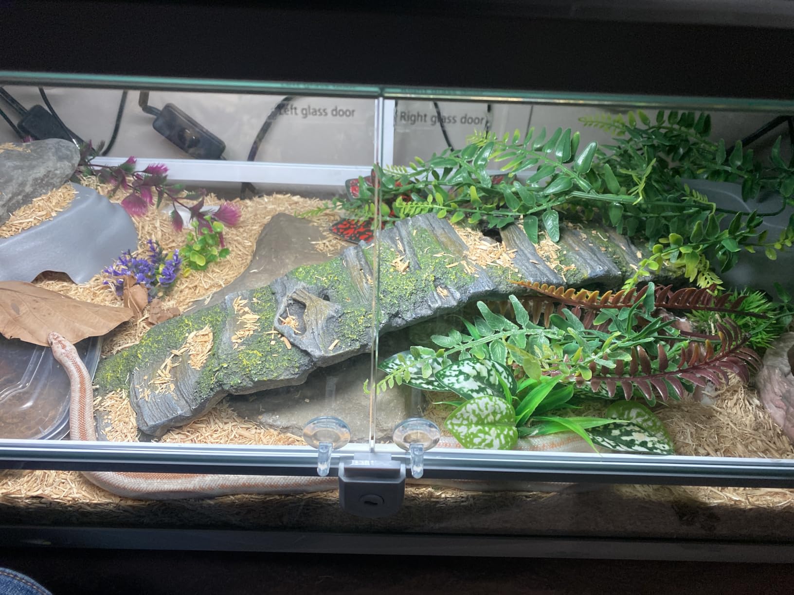 30 Gallon Reptile Tank 18