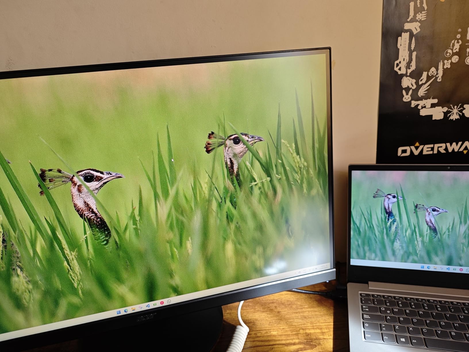 Acer Nitro 27in QHD 2560x1440 IPS 180Hz Gaming Monitor XV271U M3bmiiprx | 0.5ms, AMD FreeSync, DCI-P3 95%, 2xHDMI, DisplayPort, Ergo Stand, Speaker, VESA Mountable customer photo 2