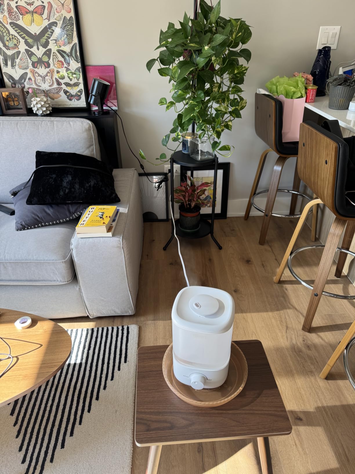 Levoit Top Fill 3L Humidifiers for Bedroom with Night Light, Cool Mist customer photo 1