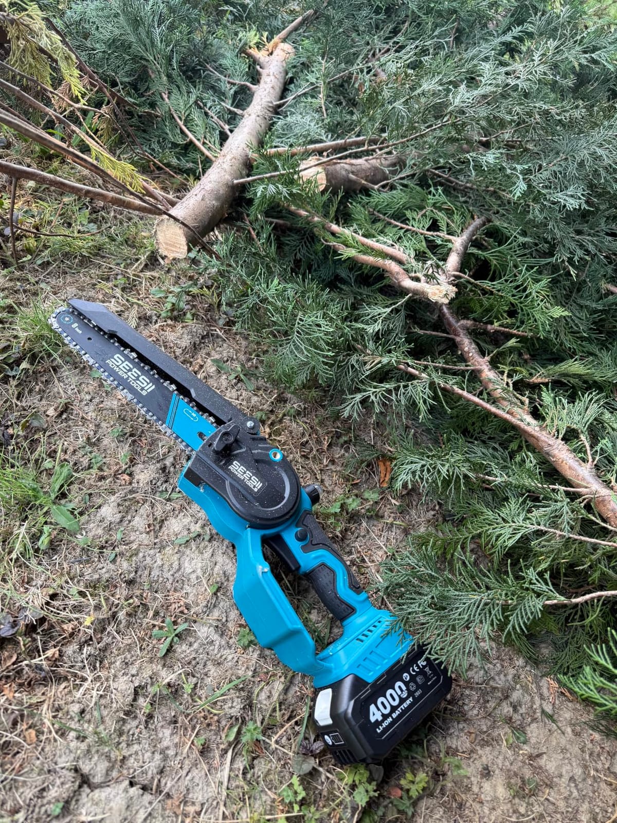 SEESII 2-in-1 Cordless 8 Inch Pole Saw & Mini Chainsaw, 2×4.0Ah Batteries | Brushless Chain Saw with Extension Pole,Long Reach Power Electric Polesaw for Tree Trimming Limb Branch Cutter customer photo 2