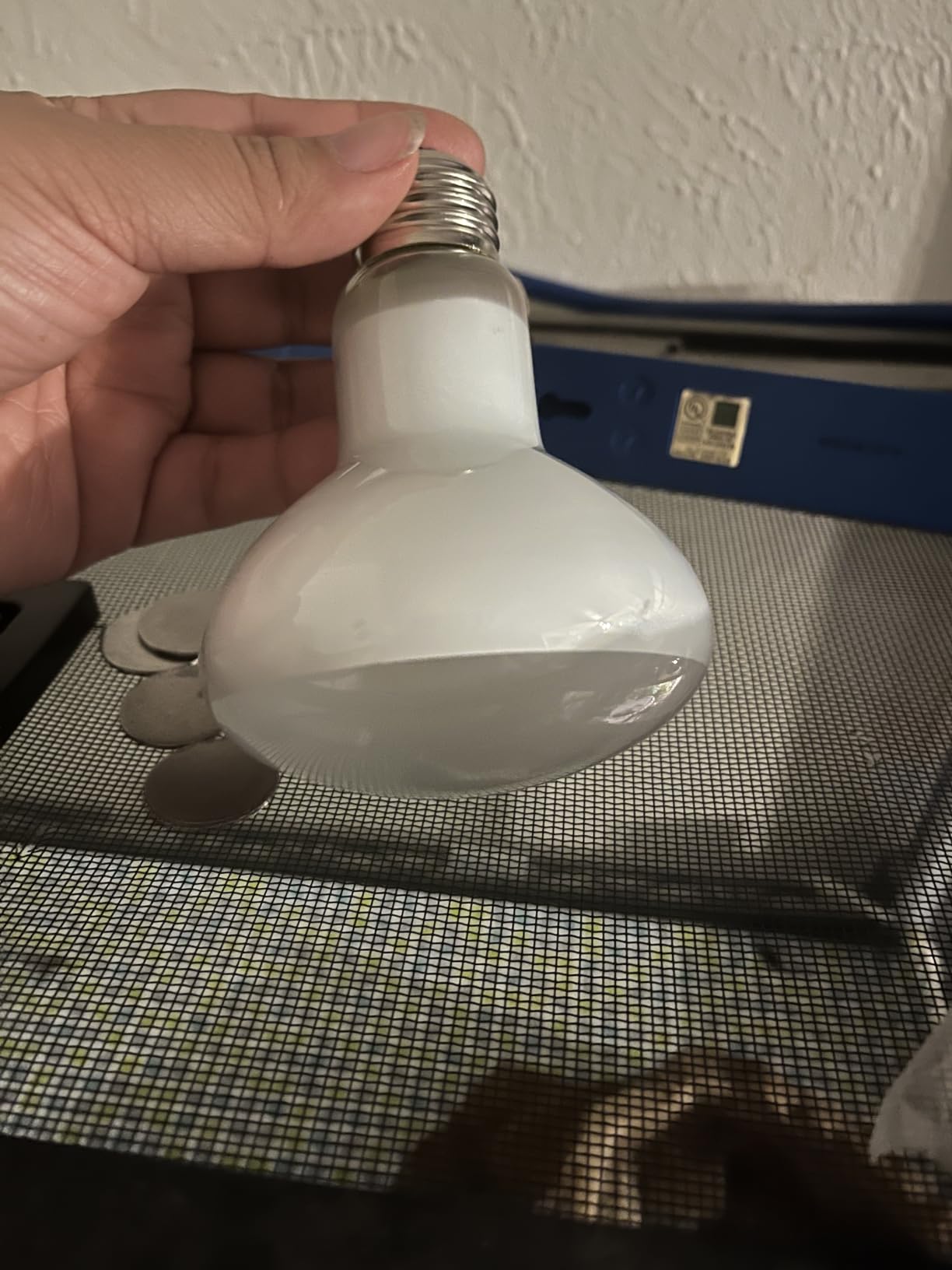 Reptile Heat Lamp Bulb, 100 Watt UVA Daylight Basking Spot Light for Bearded Dragon, Turtle, Lizard, Snake, Tortoise, Chameleon, Amphibians - 2 Pack customer photo 1