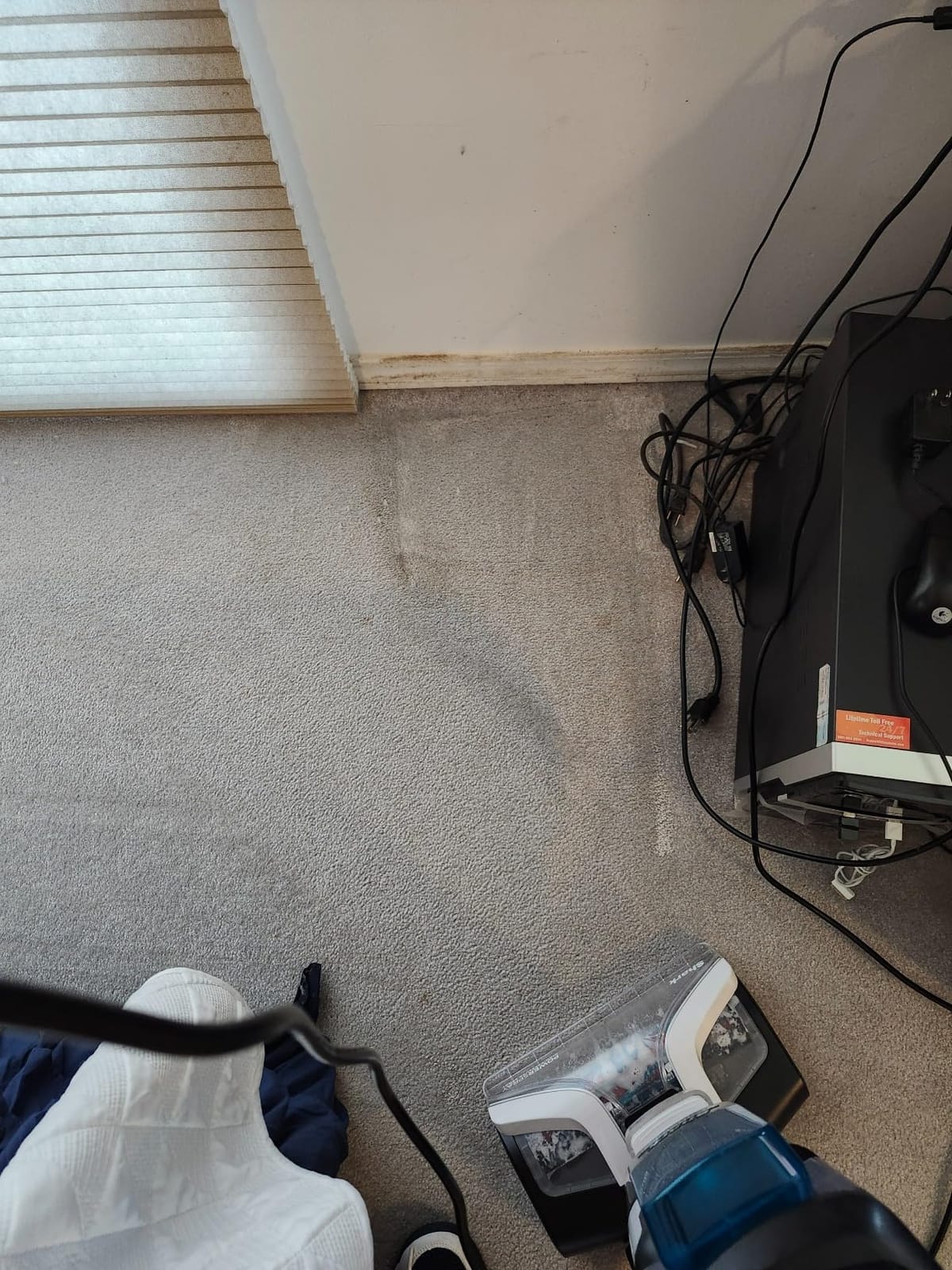 Shark CarpetXpert StainStriker Carpet & Upholstery Cleaner, 3 Tools, EX201 customer photo 1