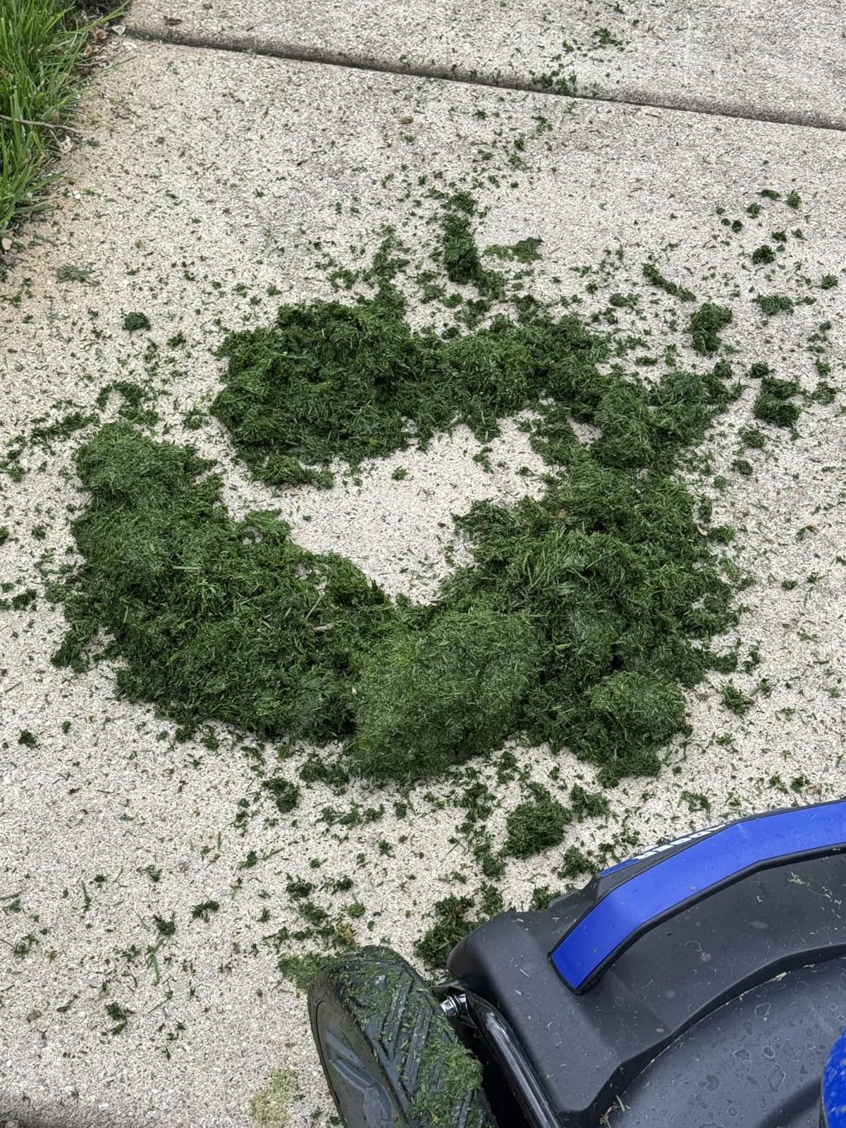 Wild Badger Power 40V 18-In Brushless Cordless Electric Lawn Mower customer photo 2