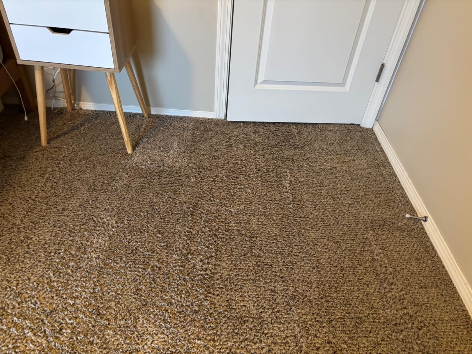 BISSELL TurboClean Pet XL Upright Carpet Cleaner, 3746 customer photo 1